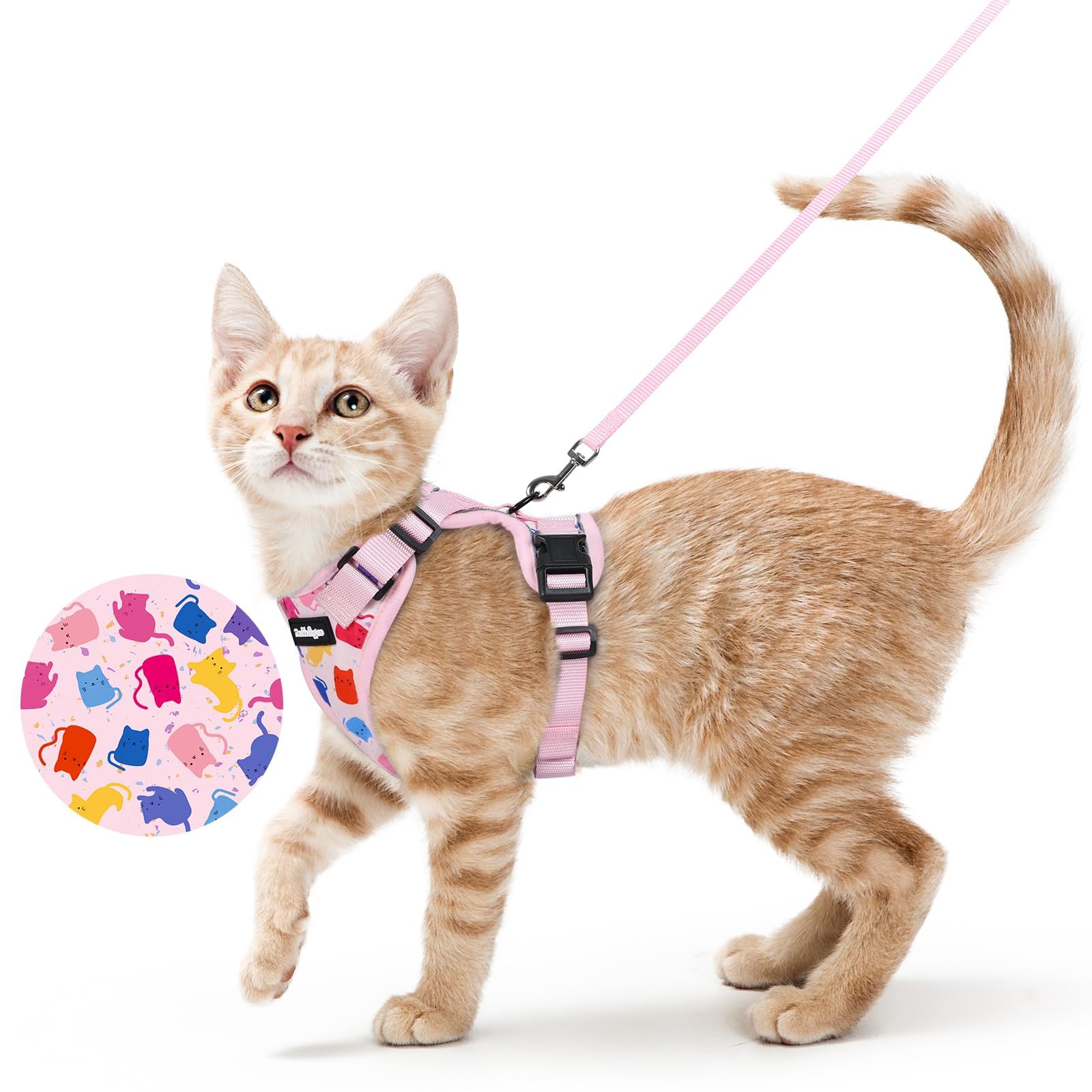 Rabbitgoo Adjustable Cat Harness and Leash Set