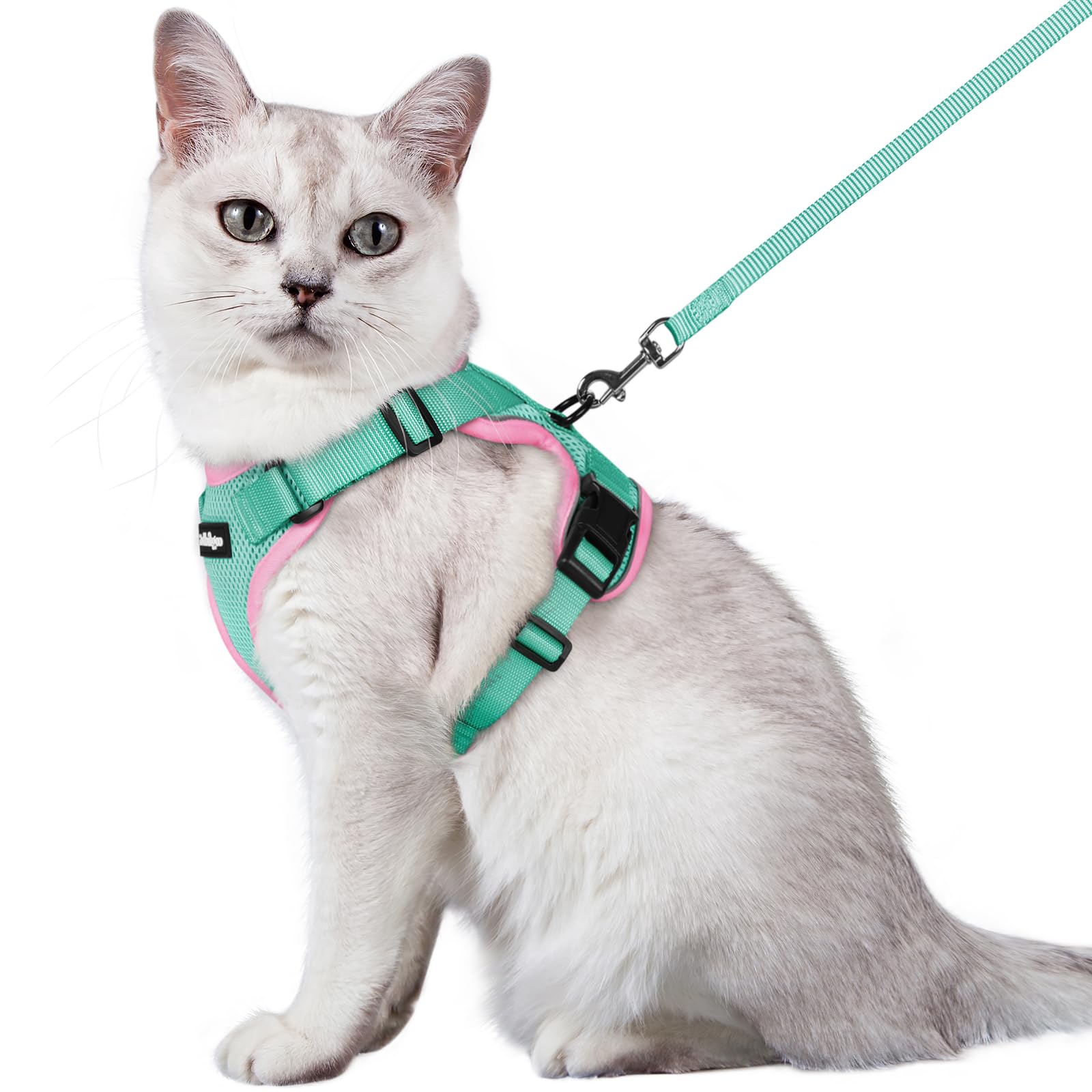 Rabbitgoo Adjustable Cat Harness and Leash Set