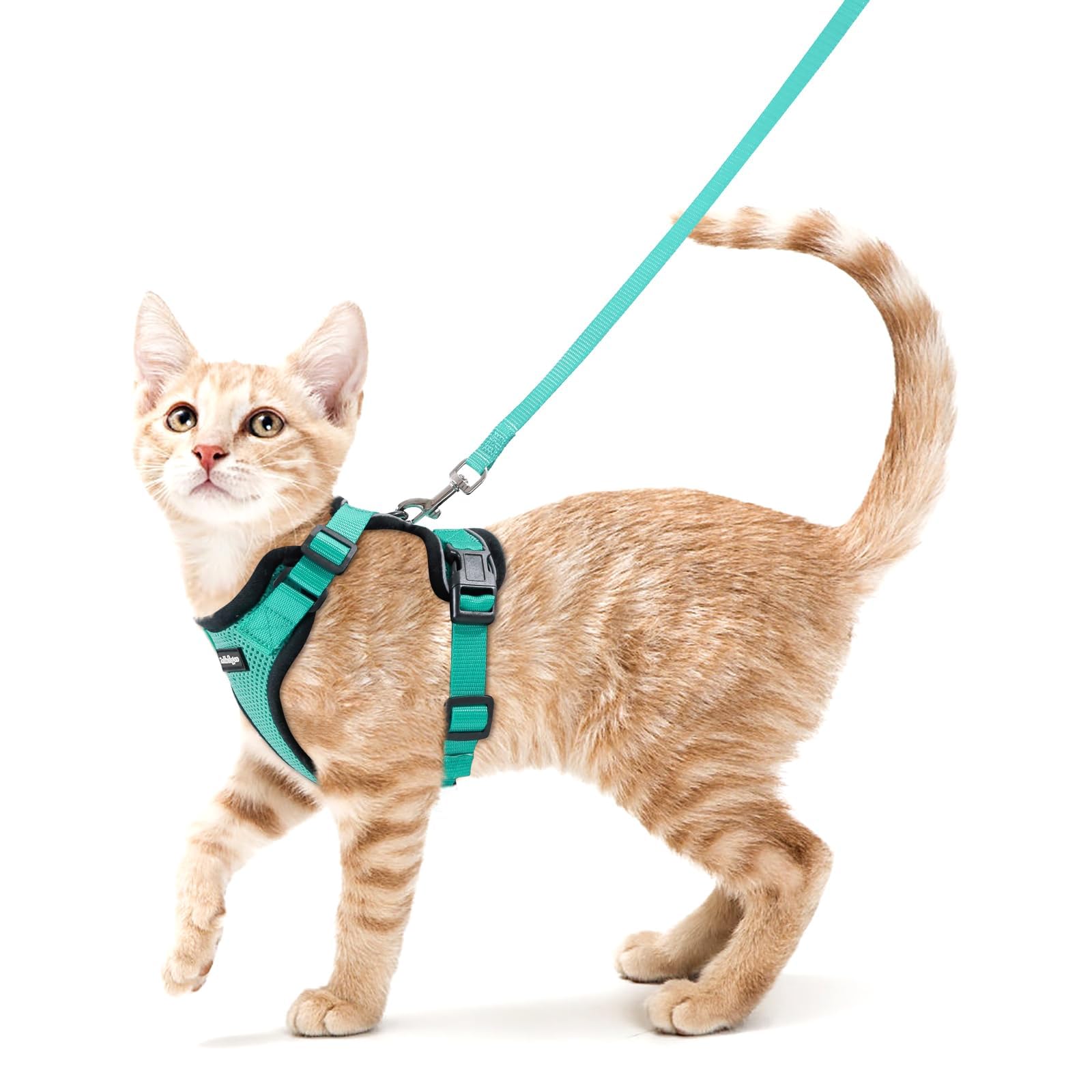 Rabbitgoo Adjustable Cat Harness and Leash Set