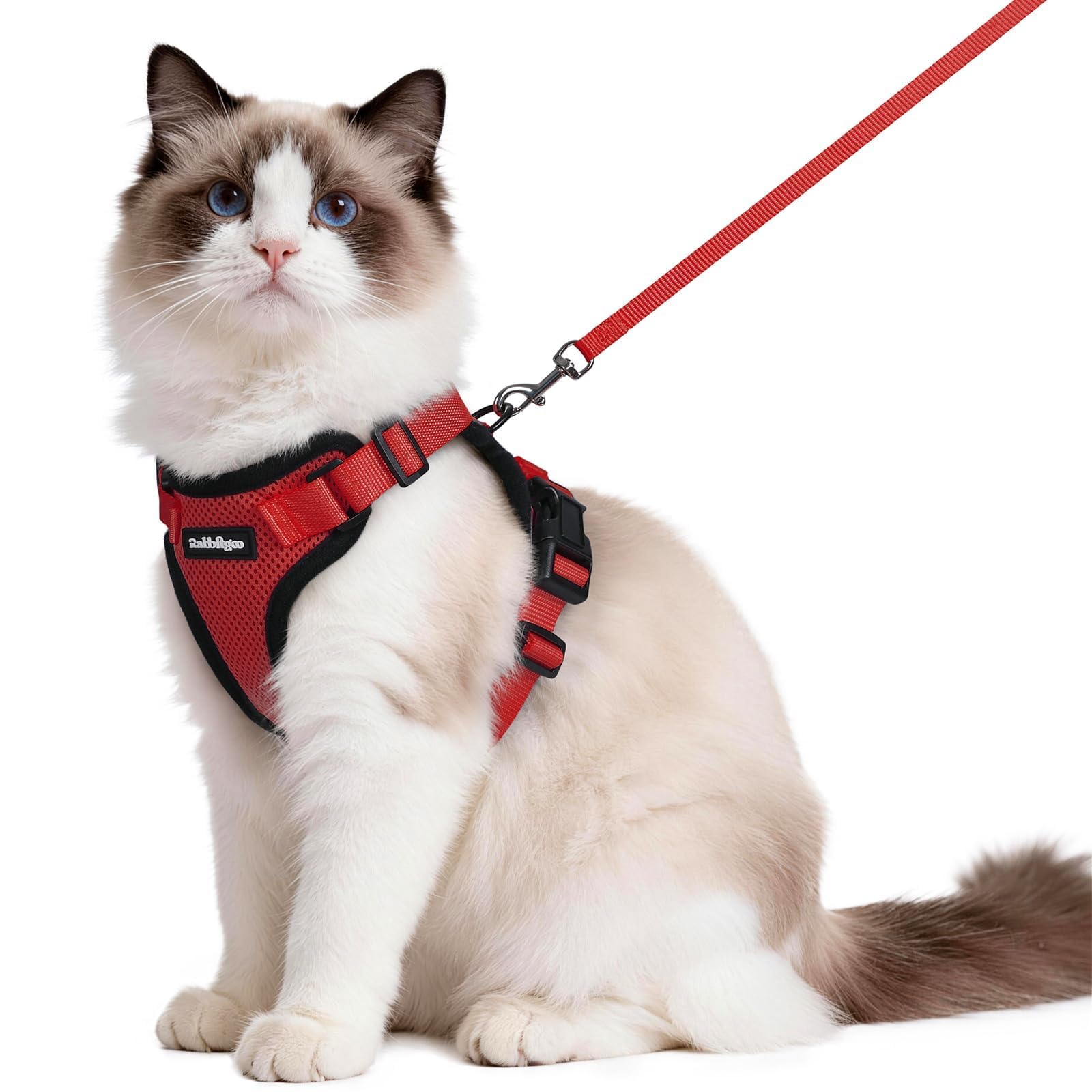 Rabbitgoo Adjustable Cat Harness and Leash Set