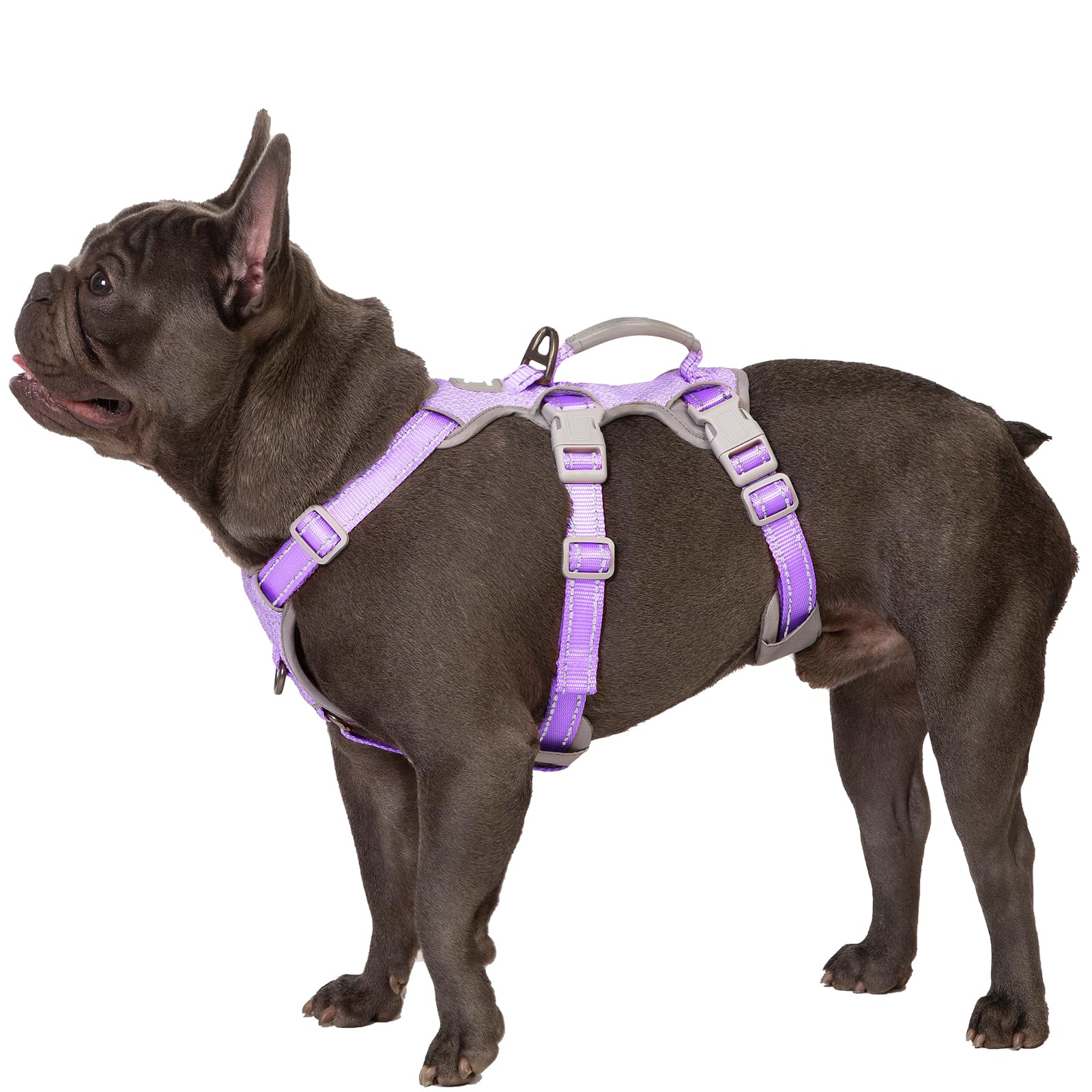 Huntboo Escape-Proof Reflective Dog Harness with Handle