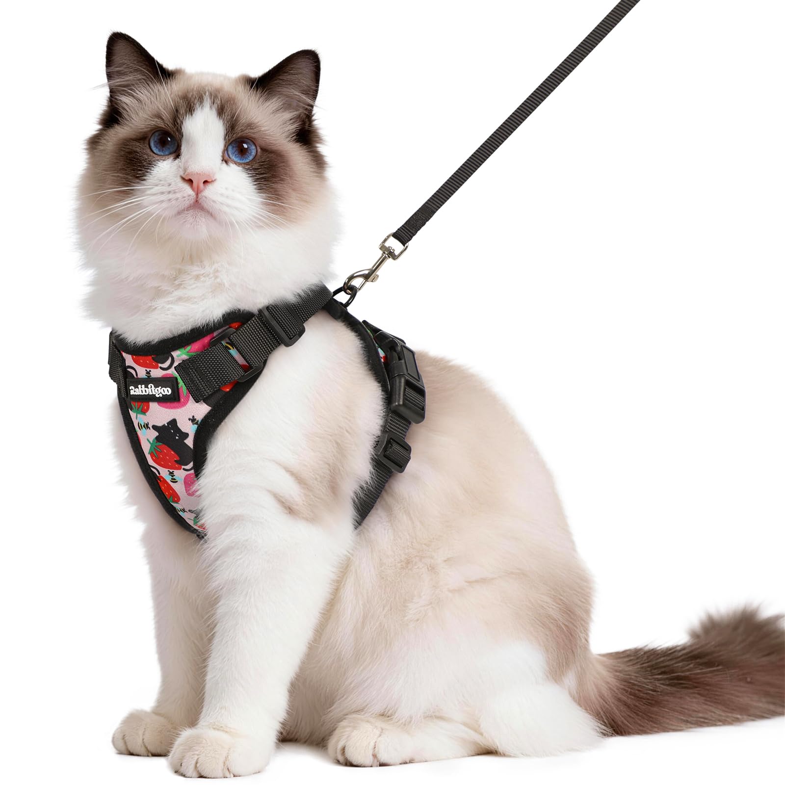 Rabbitgoo Adjustable Cat Harness and Leash Set