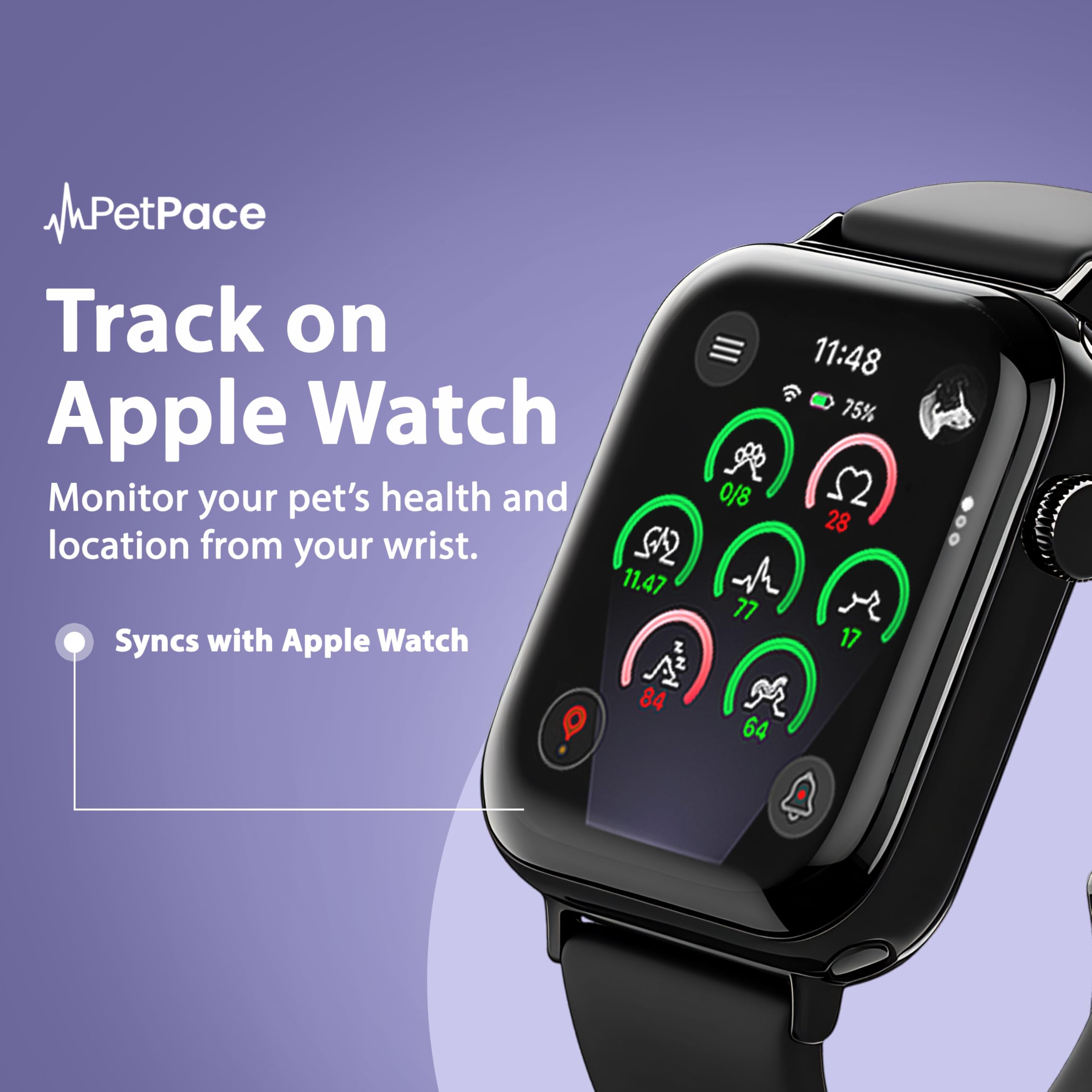 AI Smart Dog Health Collar – 24/7 Vital Signs Monitor, GPS Tracking, Heart Rate, Pain Detection, Telehealth Vet Access, Smart Watch Sync | PetPace V3.0 - Subscription Required