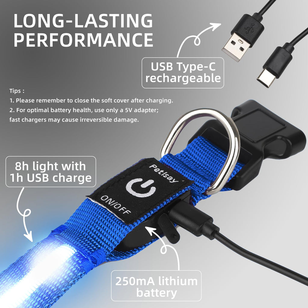 Super Bright USB-C Rechargeable LED Dog Safety Collar