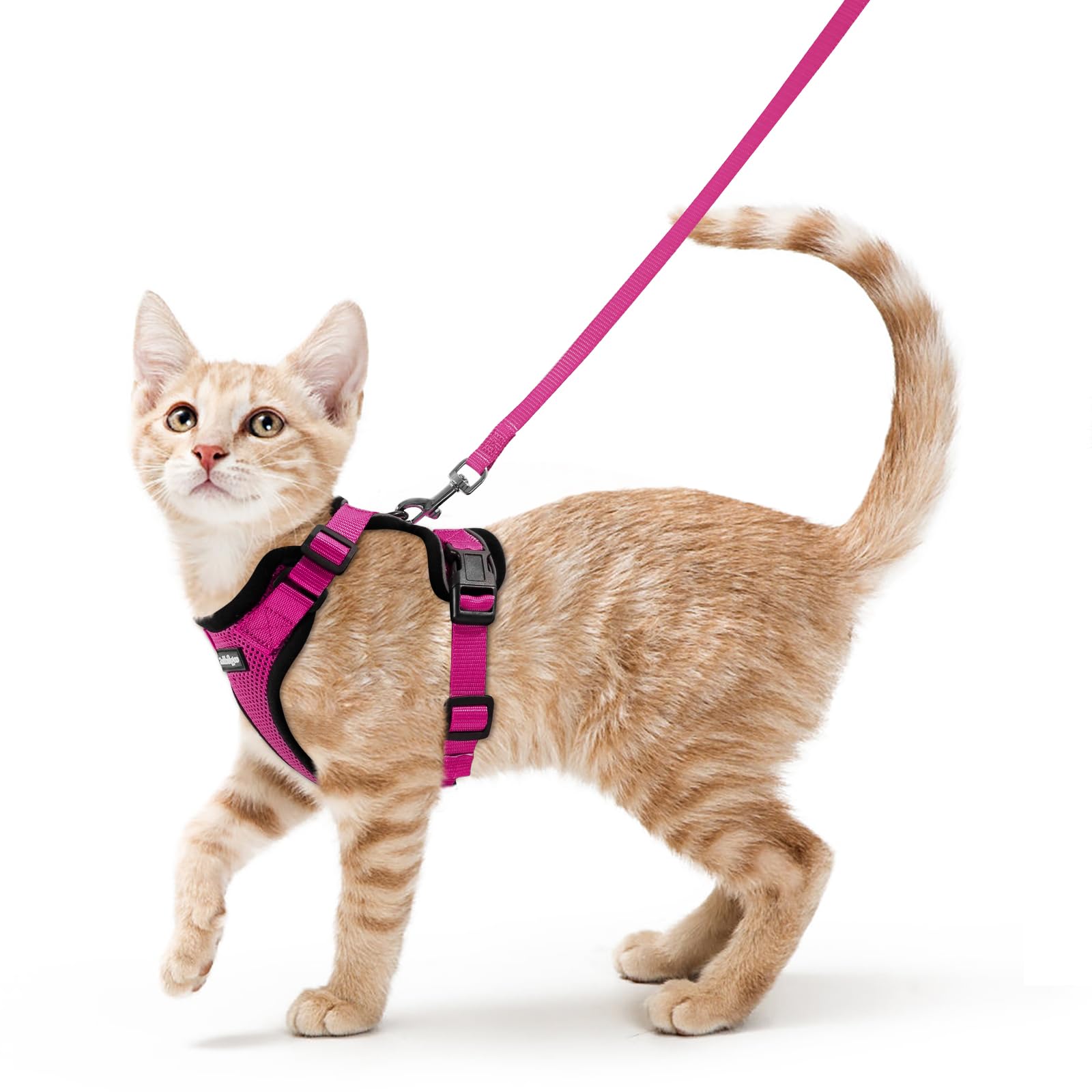 Rabbitgoo Adjustable Cat Harness and Leash Set