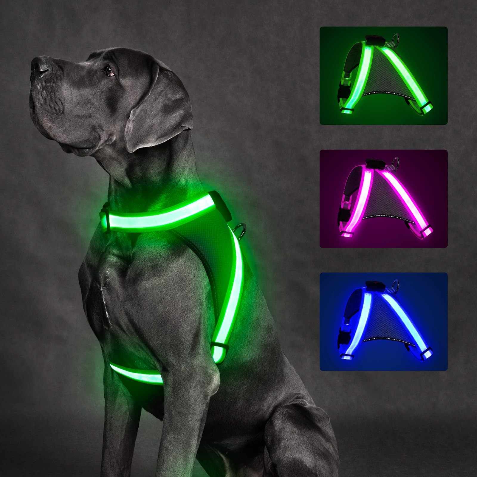 ChalkLit Light Up Dog Harness