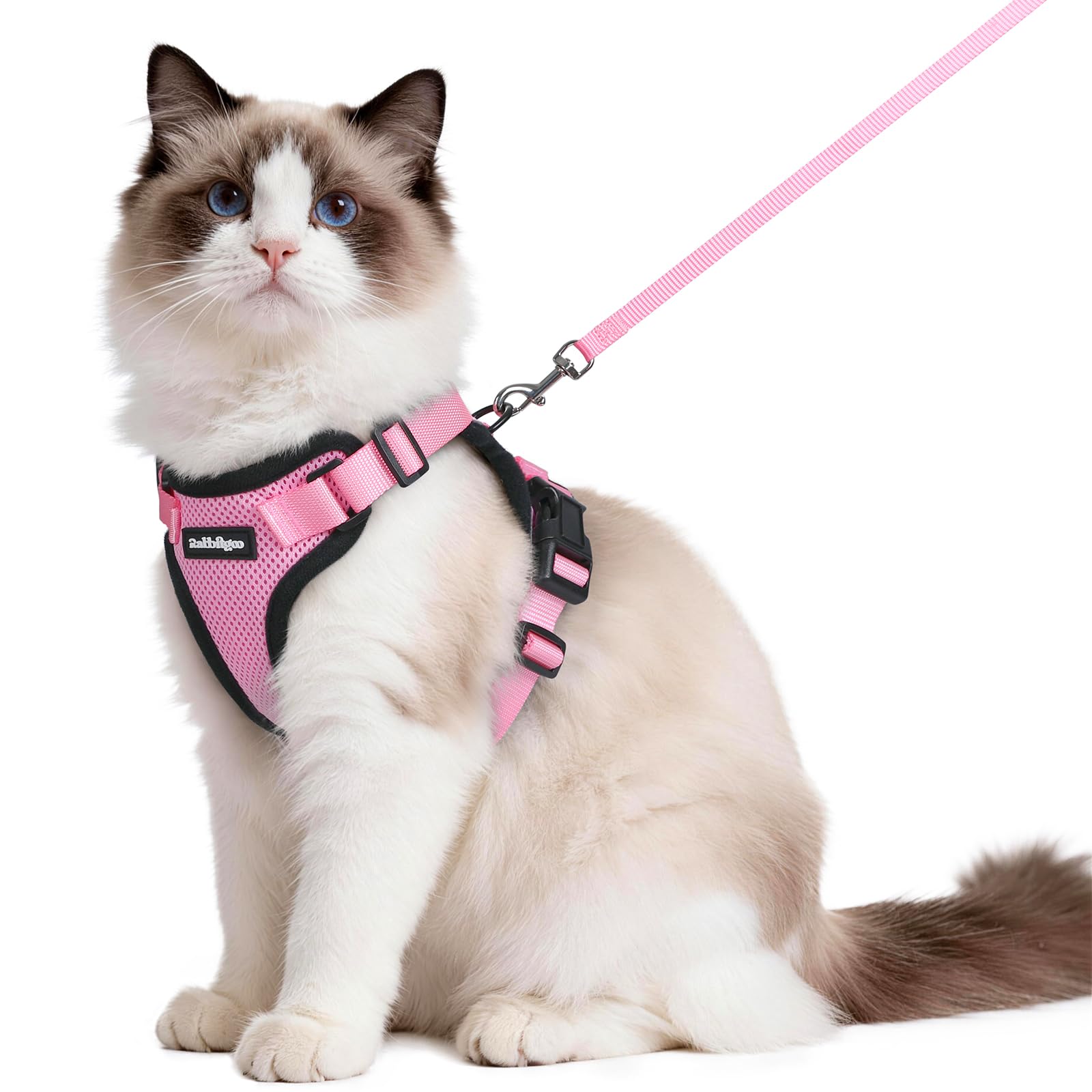 Rabbitgoo Adjustable Cat Harness and Leash Set