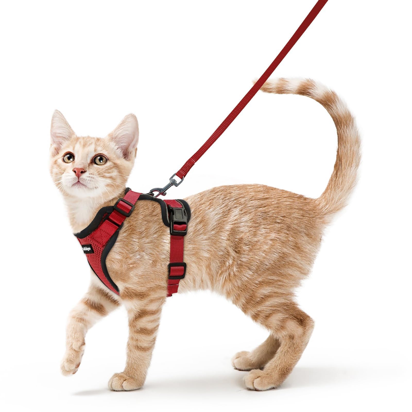 Rabbitgoo Adjustable Cat Harness and Leash Set