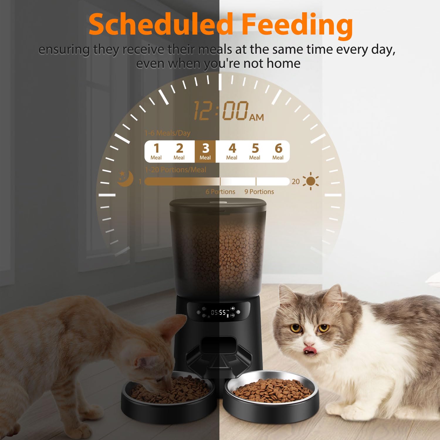 Automatic Cat Feeders for Two Cats