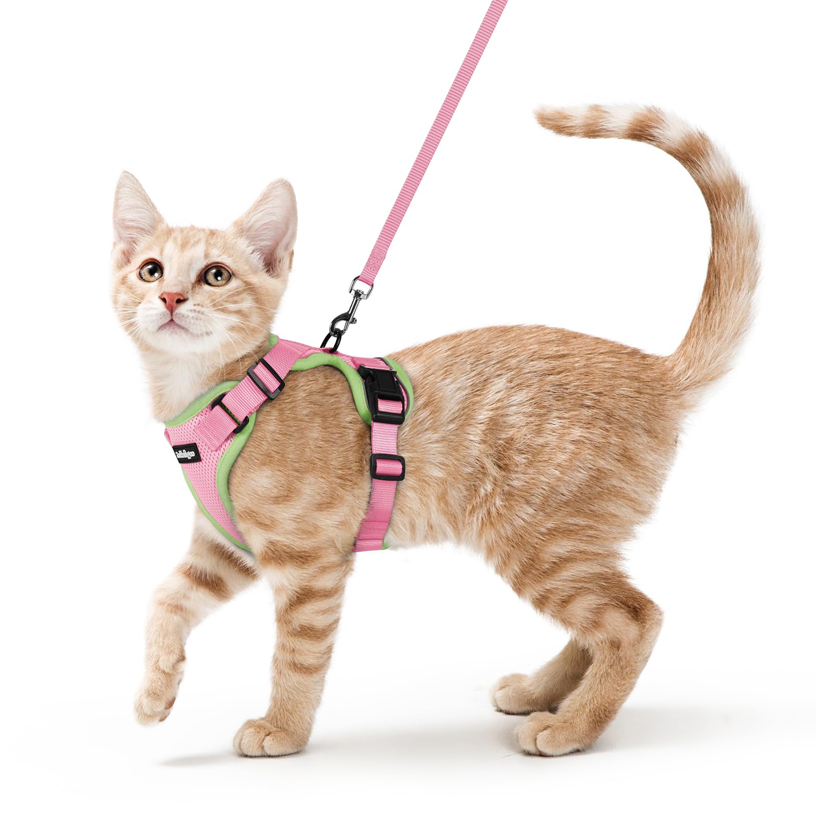 Rabbitgoo Adjustable Cat Harness and Leash Set