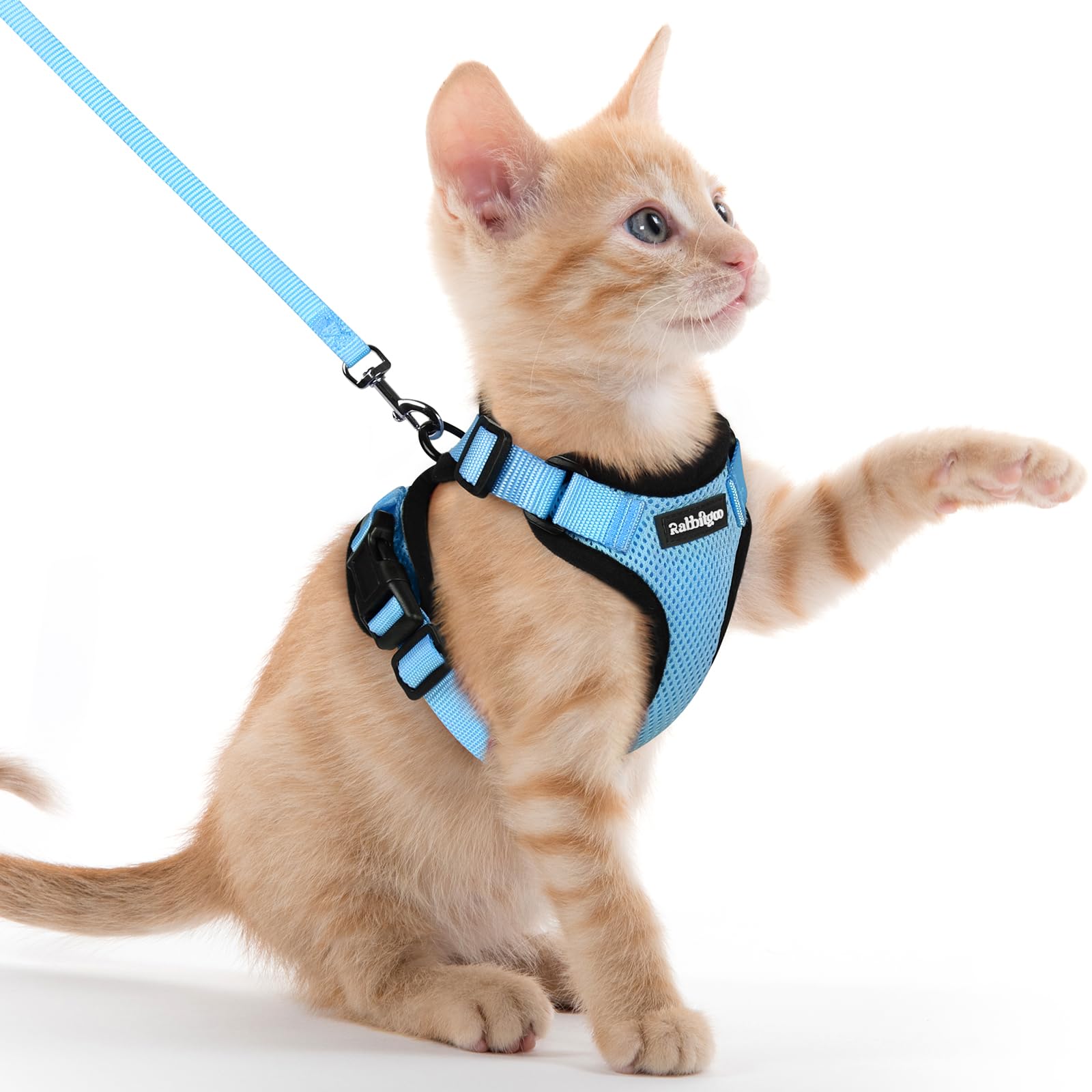 Rabbitgoo Adjustable Cat Harness and Leash Set