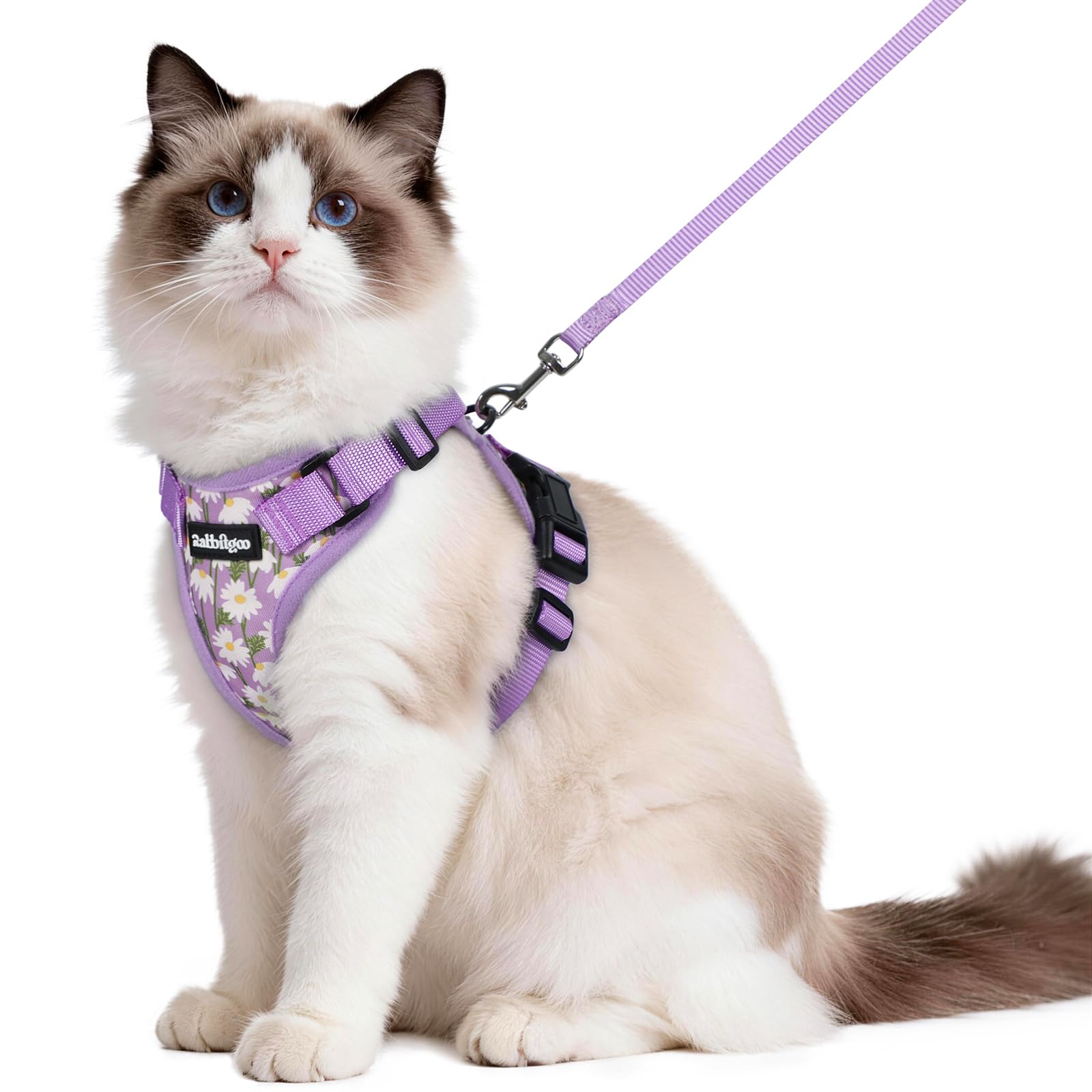 Rabbitgoo Adjustable Cat Harness and Leash Set