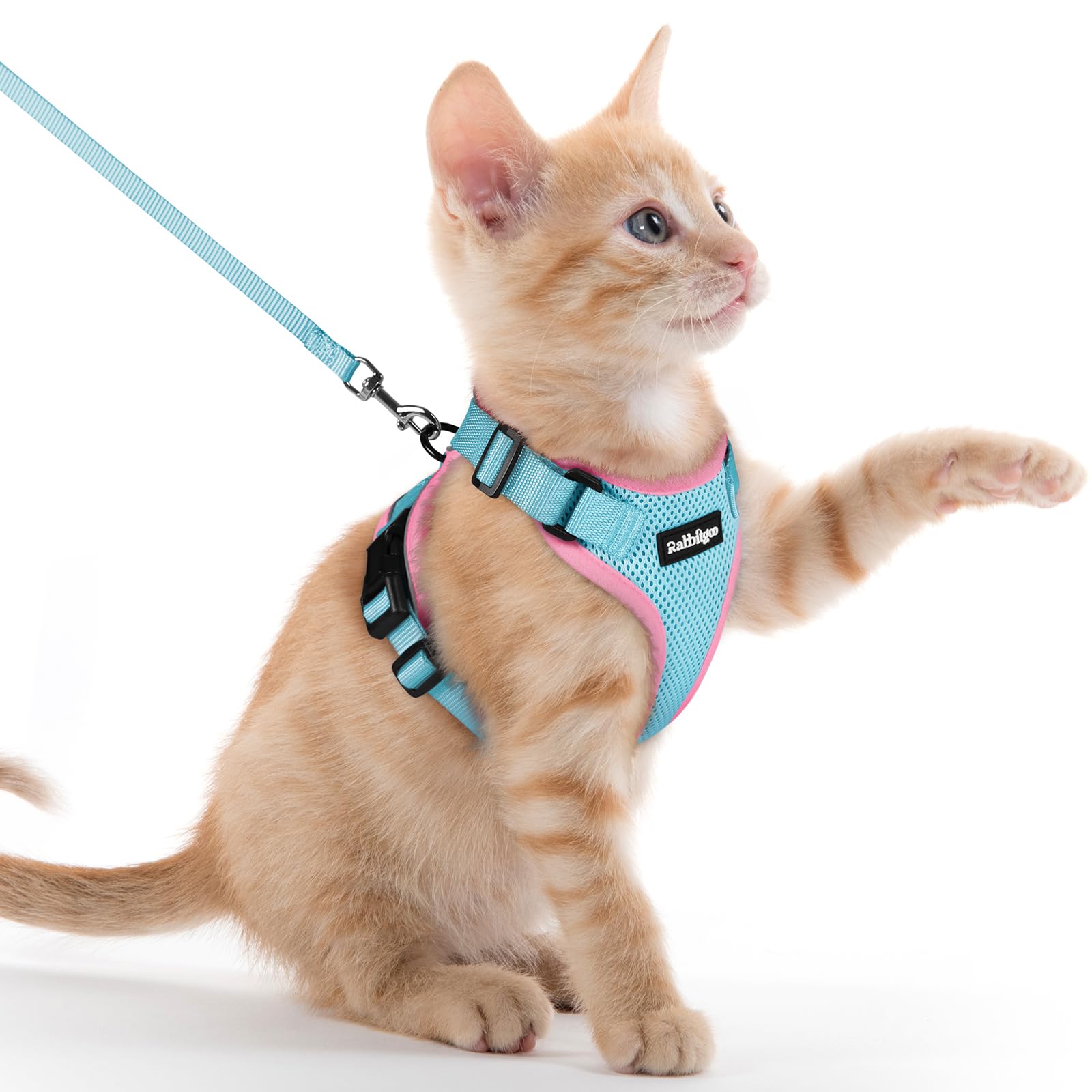 Rabbitgoo Adjustable Cat Harness and Leash Set