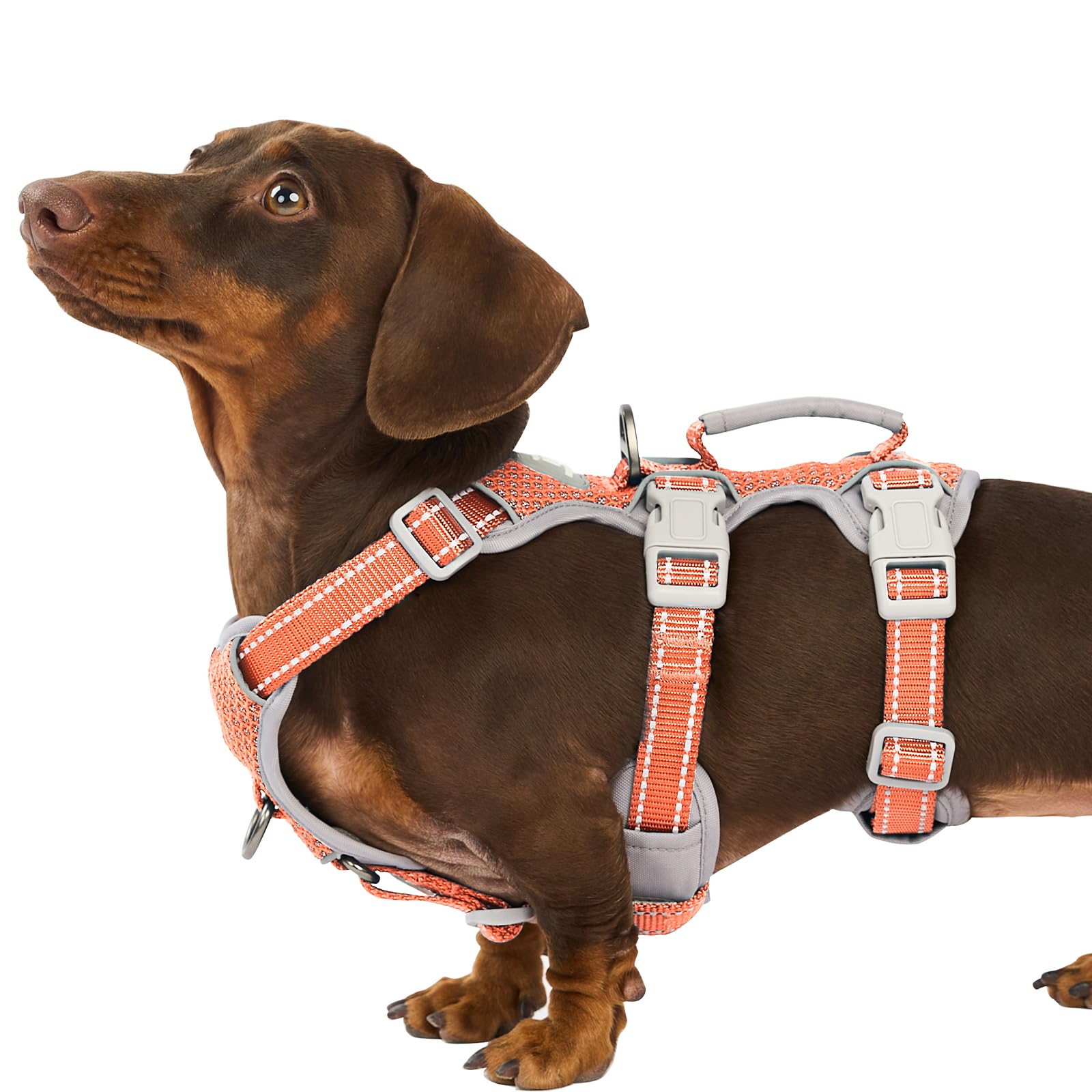 Huntboo Escape-Proof Reflective Dog Harness with Handle