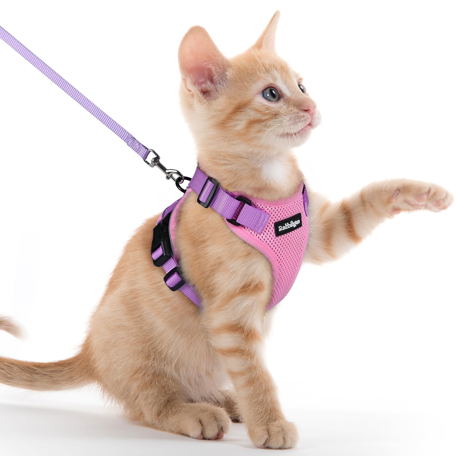 Rabbitgoo Adjustable Cat Harness and Leash Set