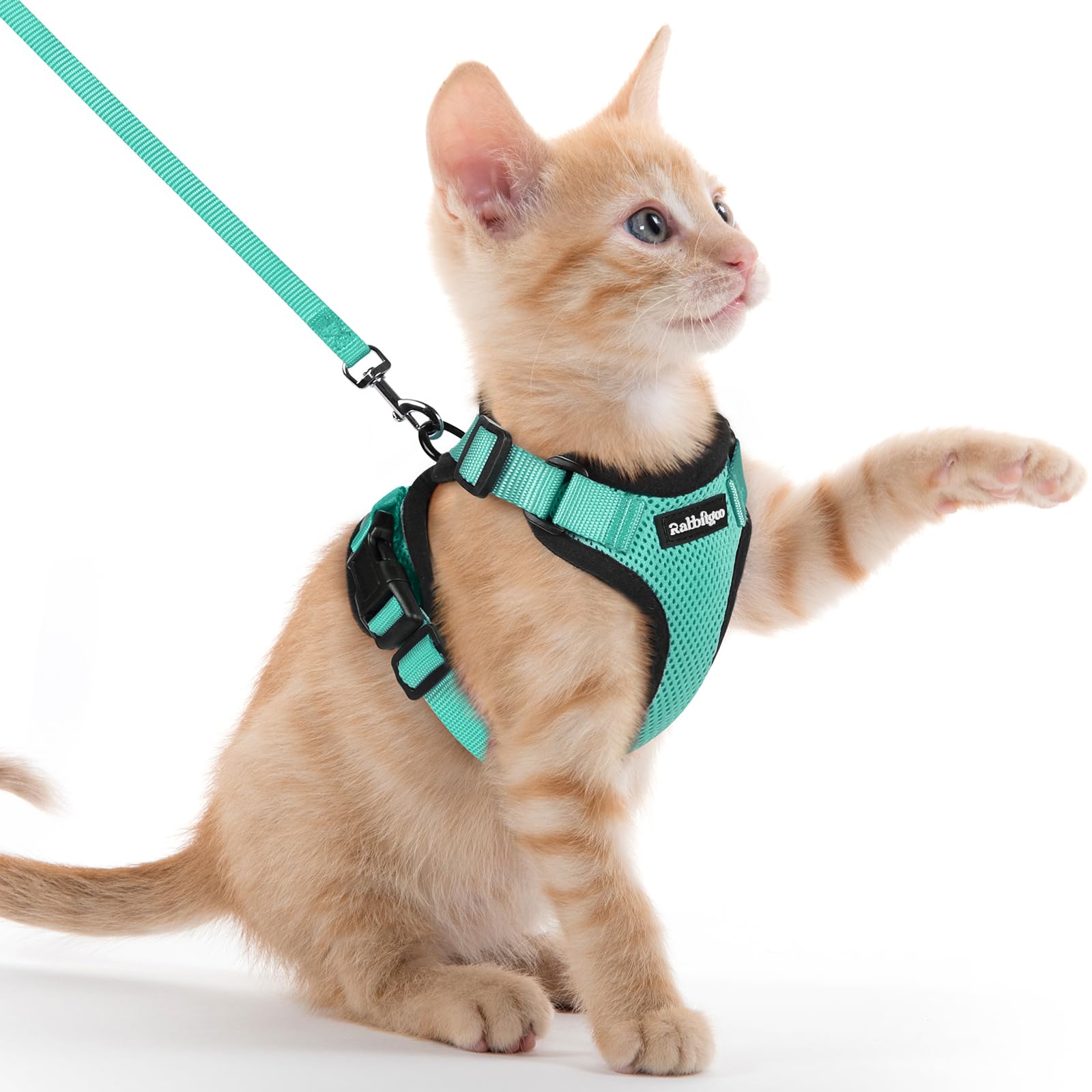 Rabbitgoo Adjustable Cat Harness and Leash Set