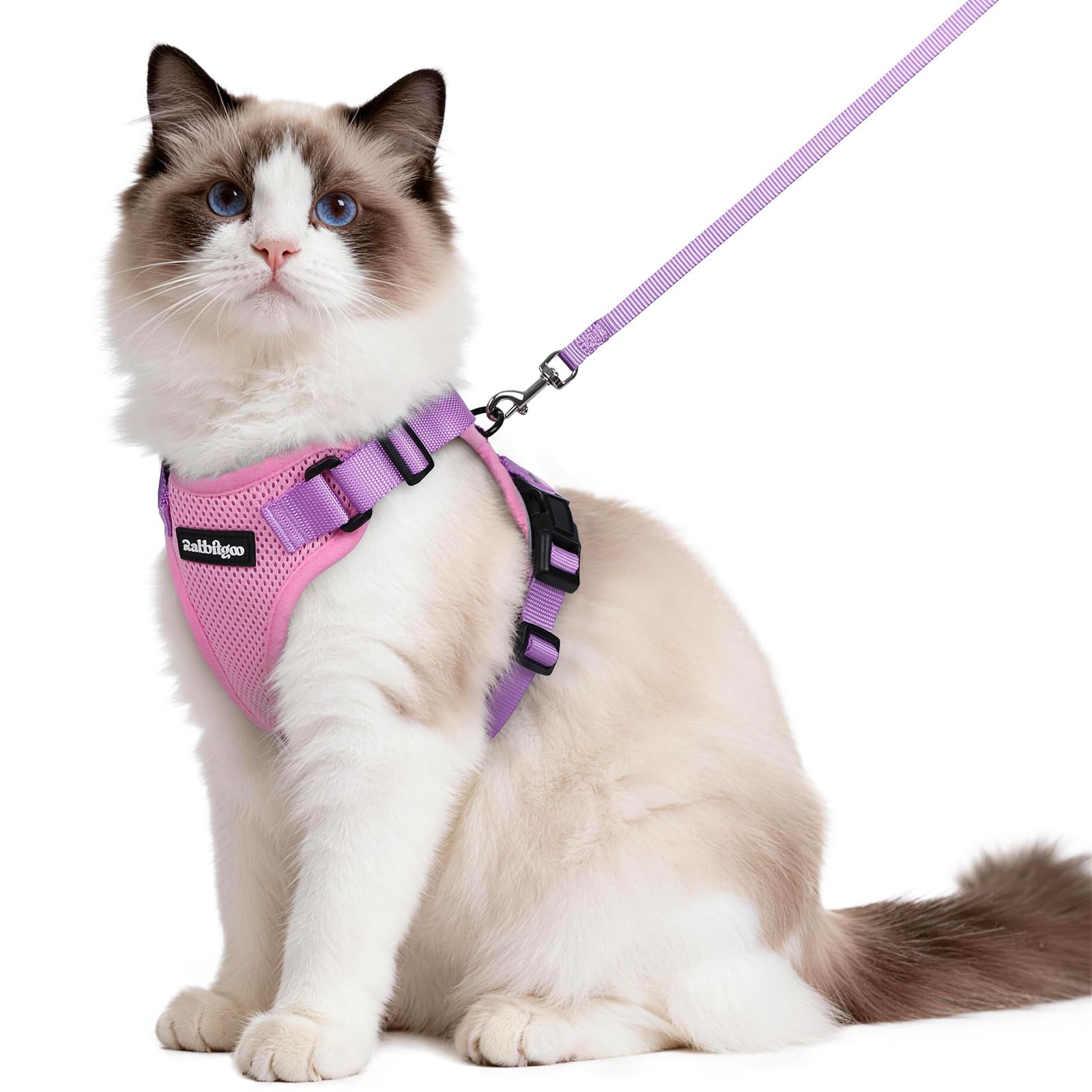 Rabbitgoo Adjustable Cat Harness and Leash Set