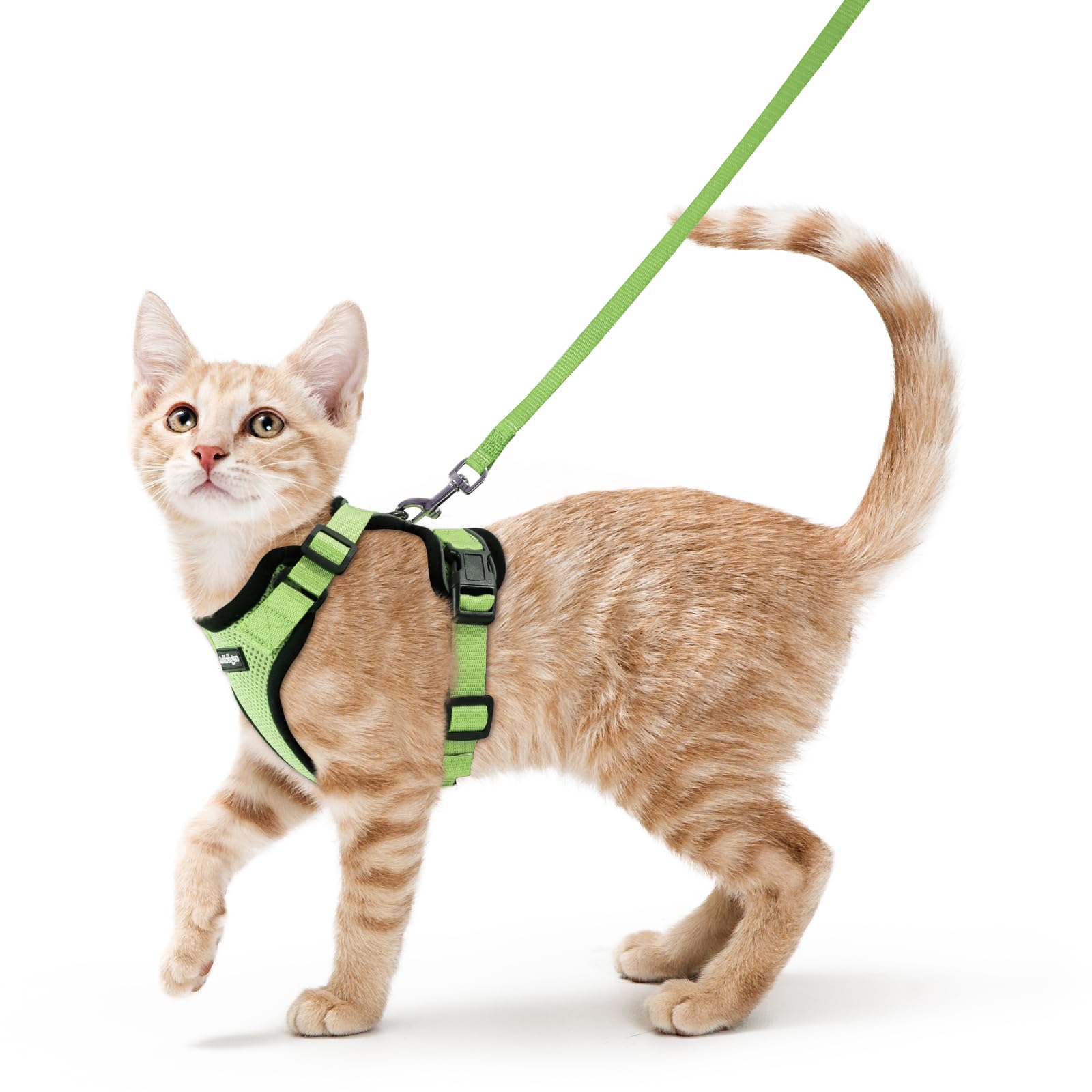 Rabbitgoo Adjustable Cat Harness and Leash Set