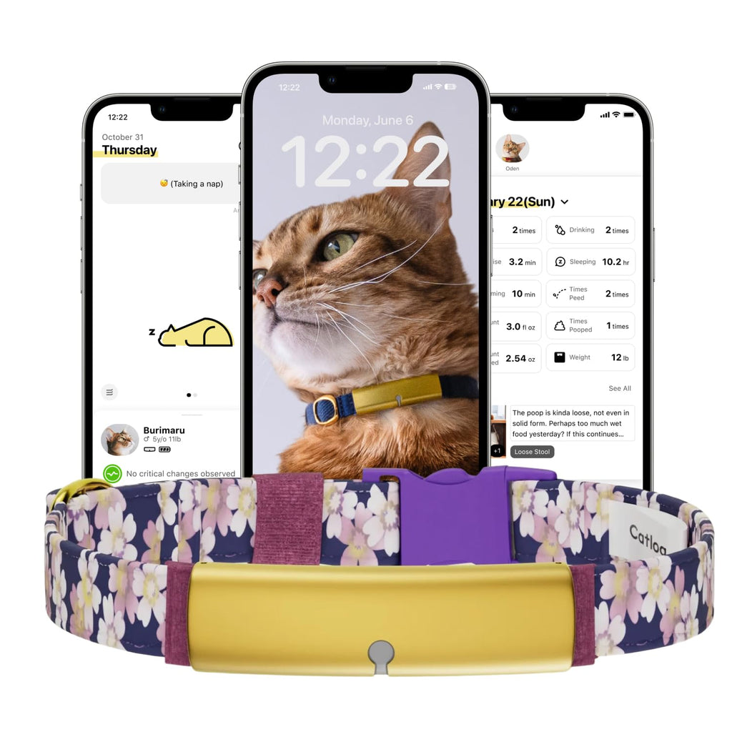 Catlog Replacement Collar Belt for Pet Activity Tracker