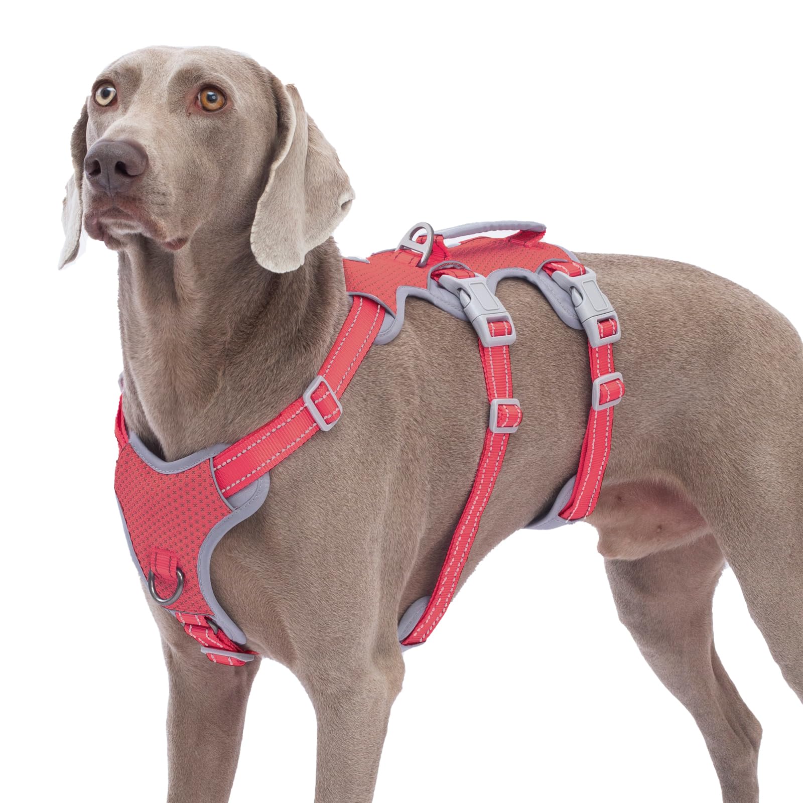 Huntboo Escape-Proof Reflective Dog Harness with Handle