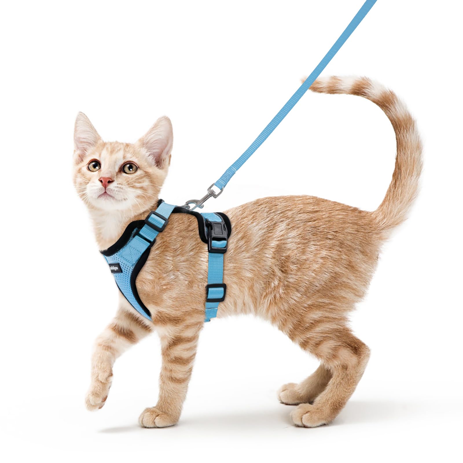 Rabbitgoo Adjustable Cat Harness and Leash Set