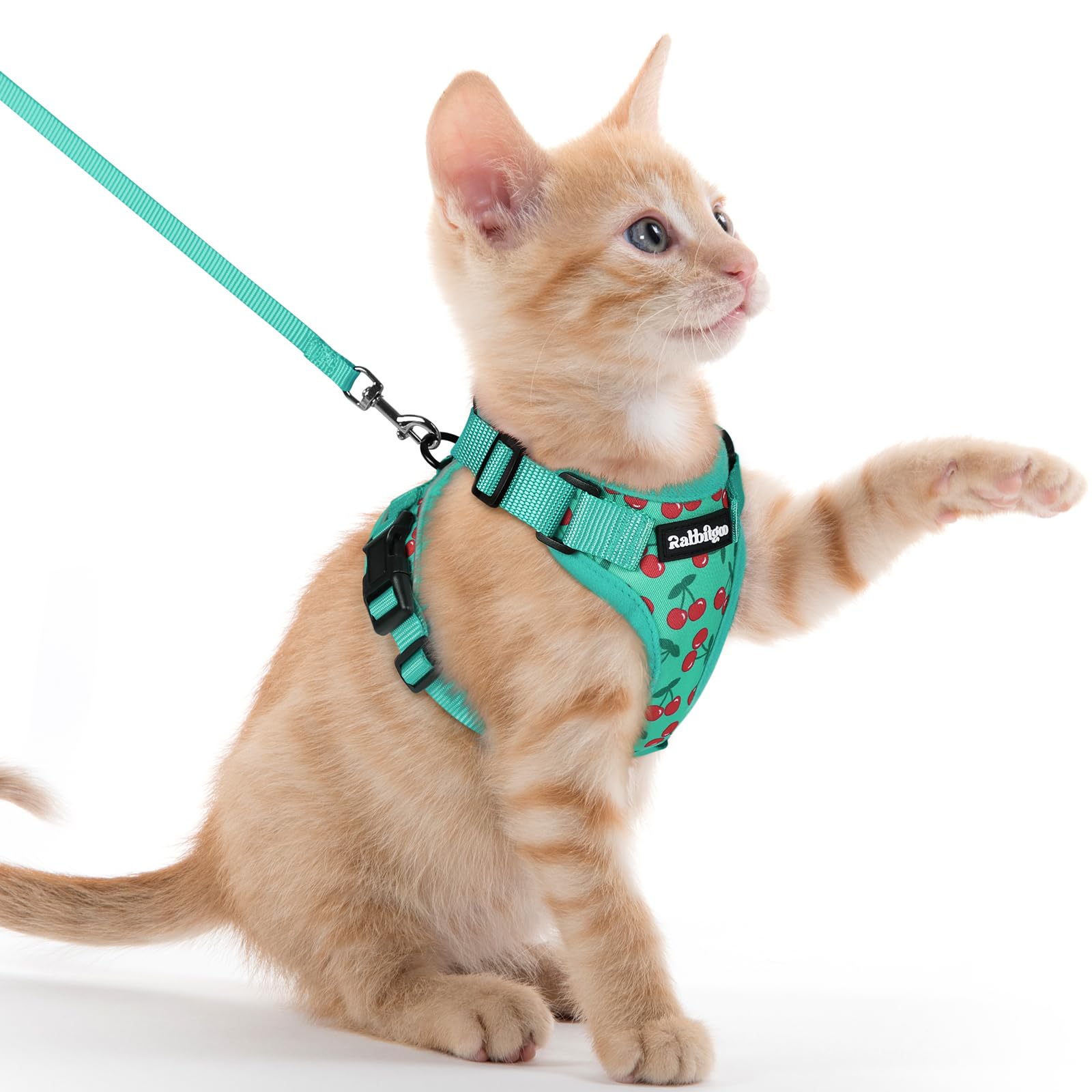 Rabbitgoo Adjustable Cat Harness and Leash Set