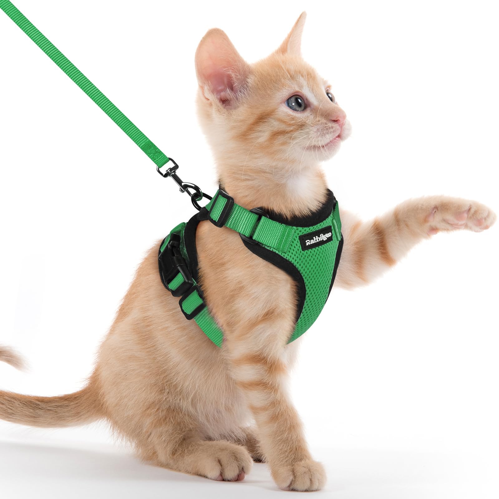 Rabbitgoo Adjustable Cat Harness and Leash Set