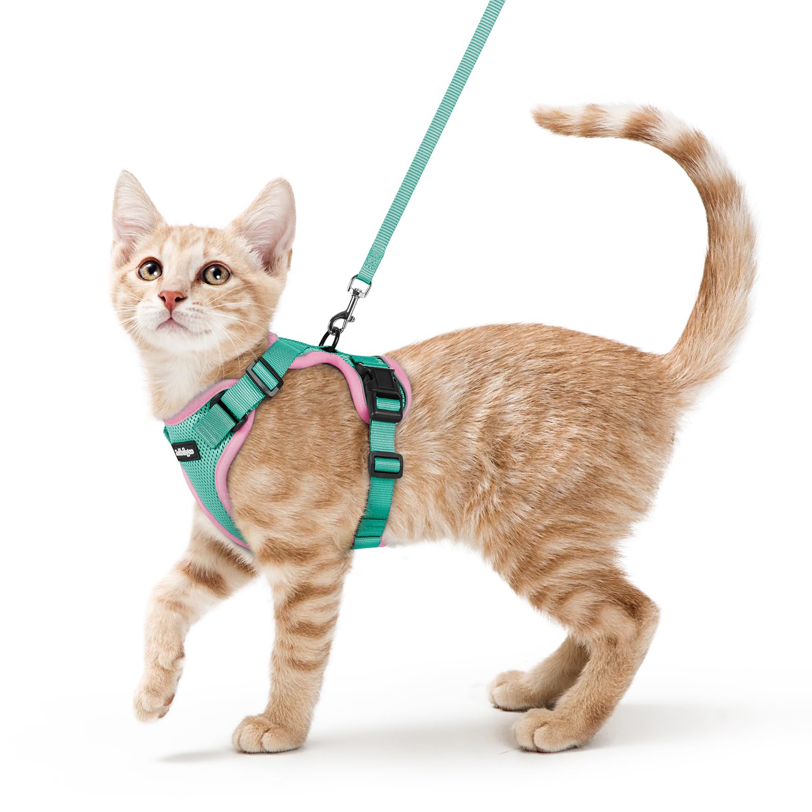 Rabbitgoo Adjustable Cat Harness and Leash Set