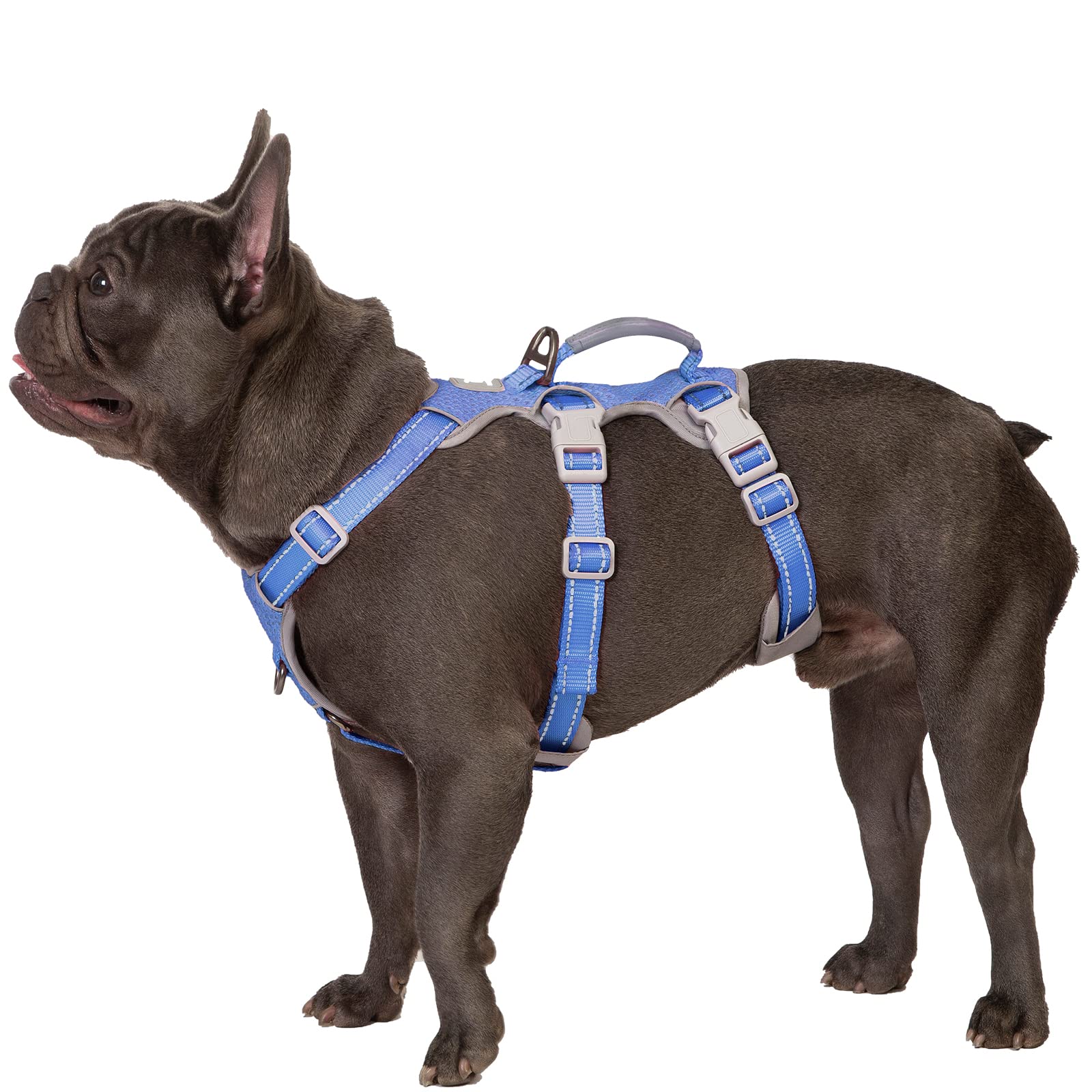 Huntboo Escape-Proof Reflective Dog Harness with Handle