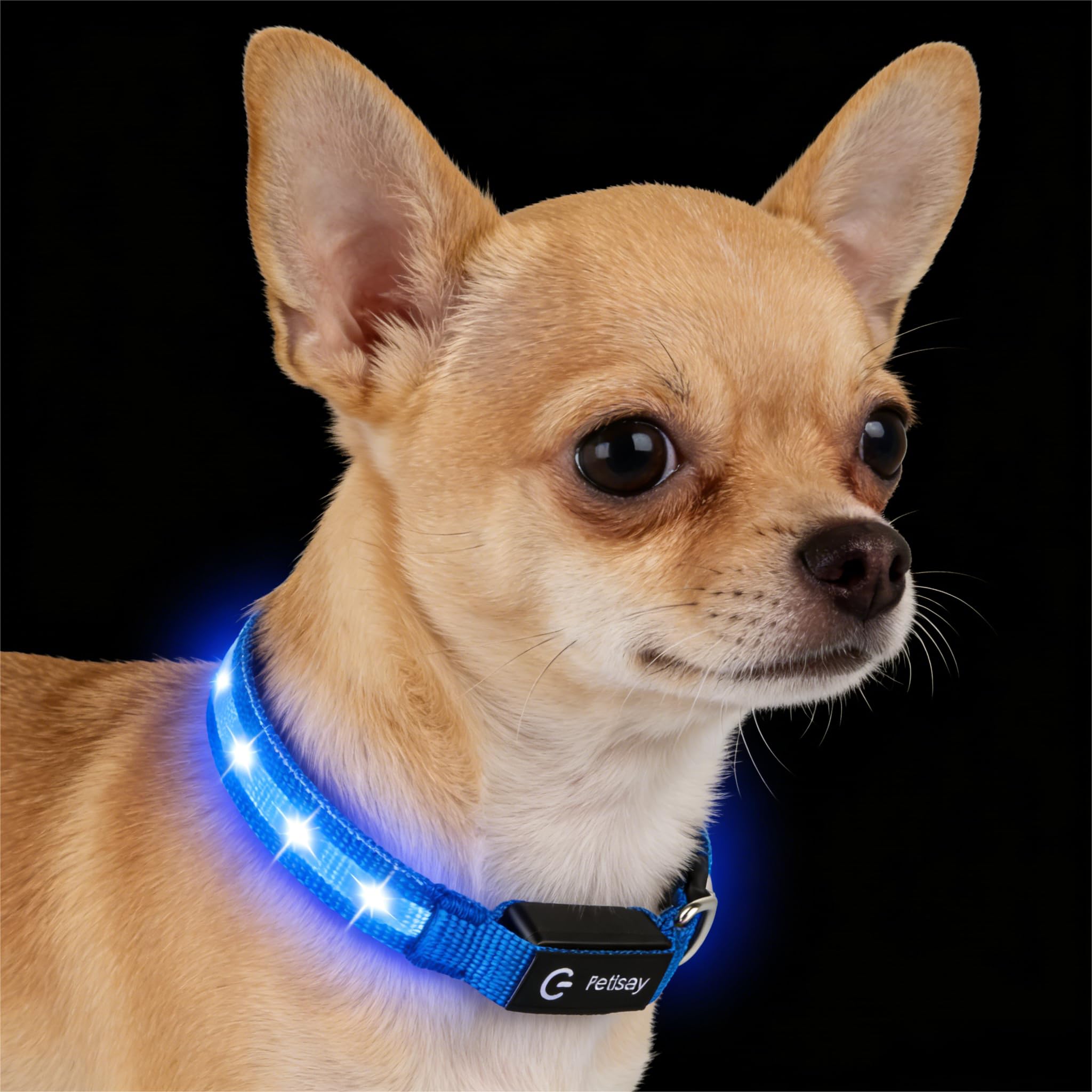 Super Bright USB-C Rechargeable LED Dog Safety Collar