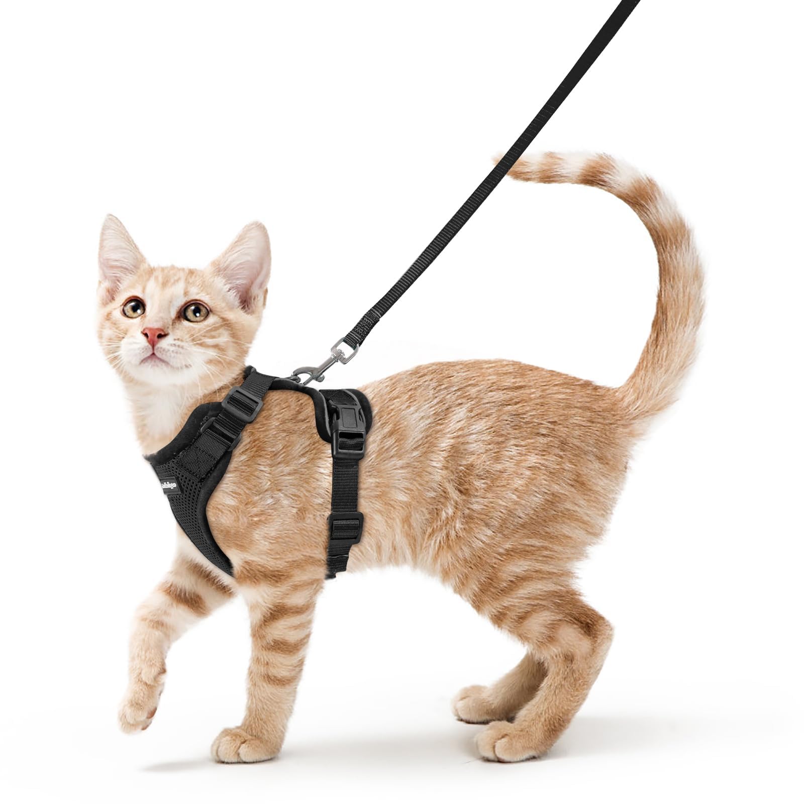 Rabbitgoo Adjustable Cat Harness and Leash Set