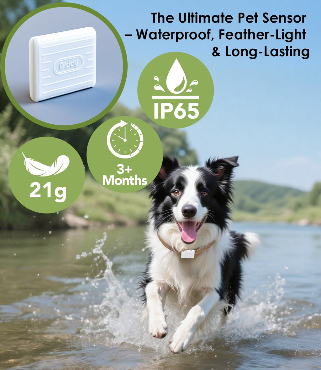 Automatic Dog Door for Door with Collar Sensor