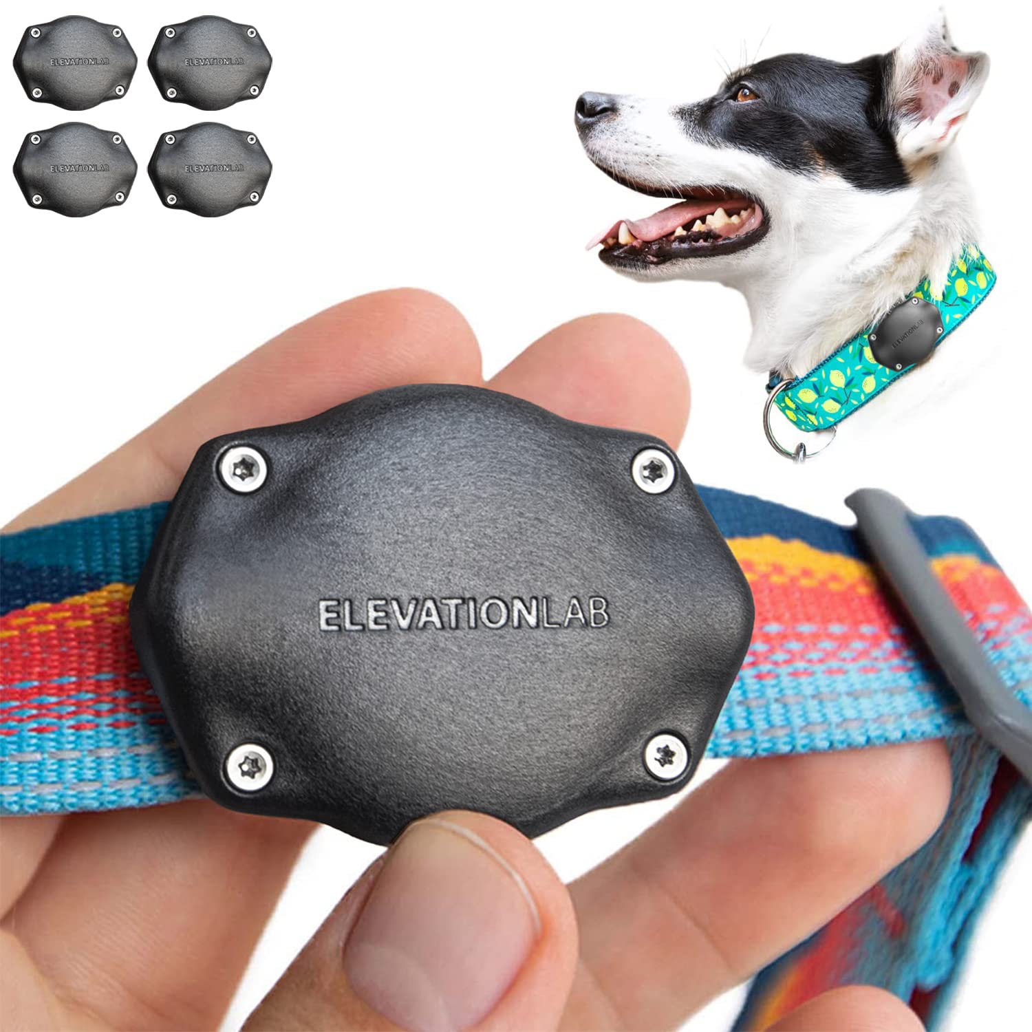 TagVault Pet: The Original AirTag Dog Collar Waterproof Mount, Ultra-Durable, Fits All Width Collars | Elevation Lab