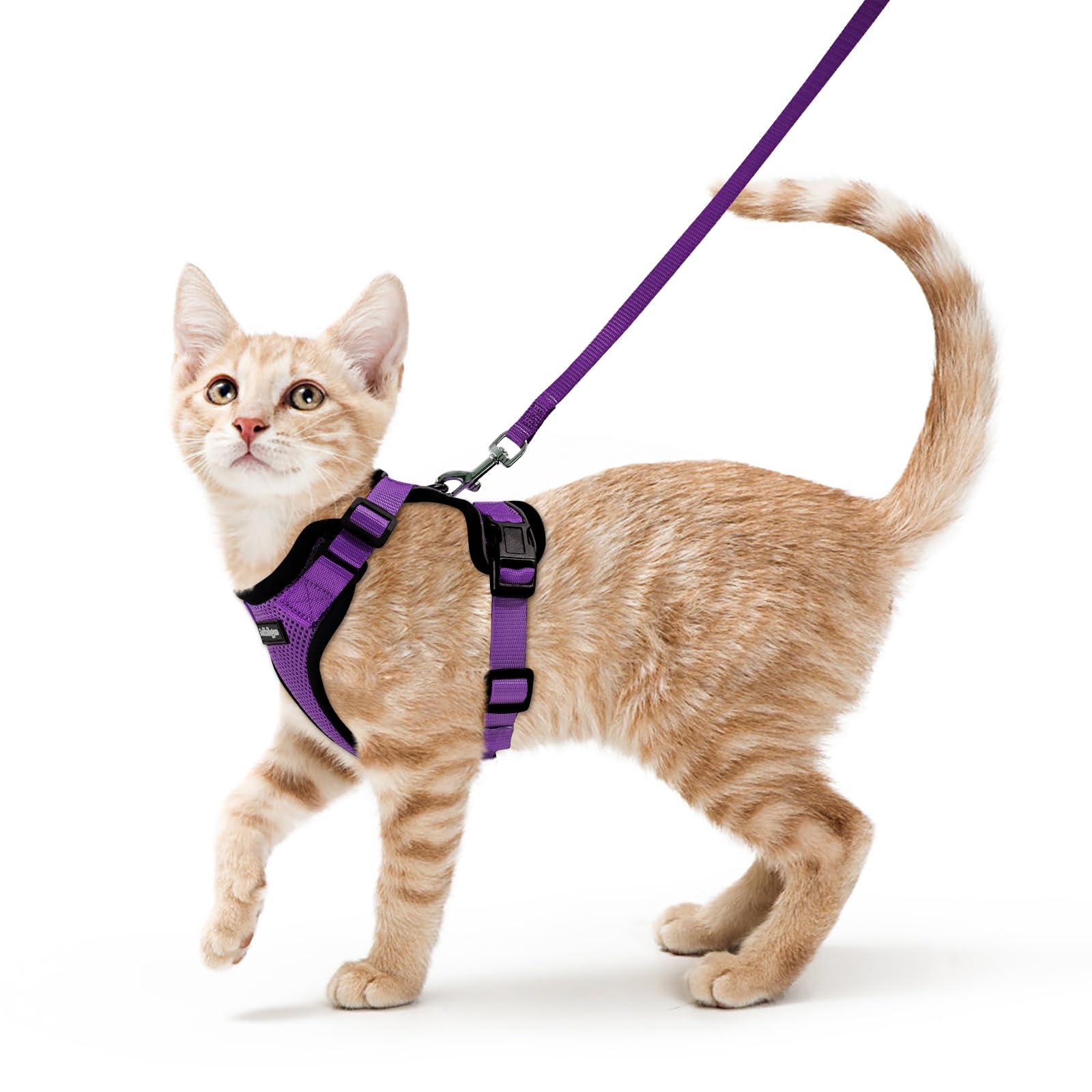 Rabbitgoo Adjustable Cat Harness and Leash Set