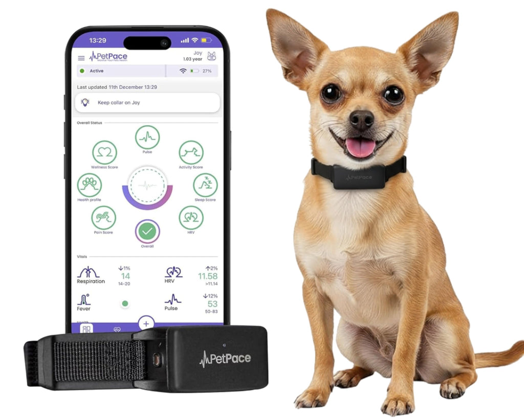 AI Smart Dog Health Collar – 24/7 Vital Signs Monitor, GPS Tracking, Heart Rate, Pain Detection, Telehealth Vet Access, Smart Watch Sync | PetPace V3.0 - Subscription Required