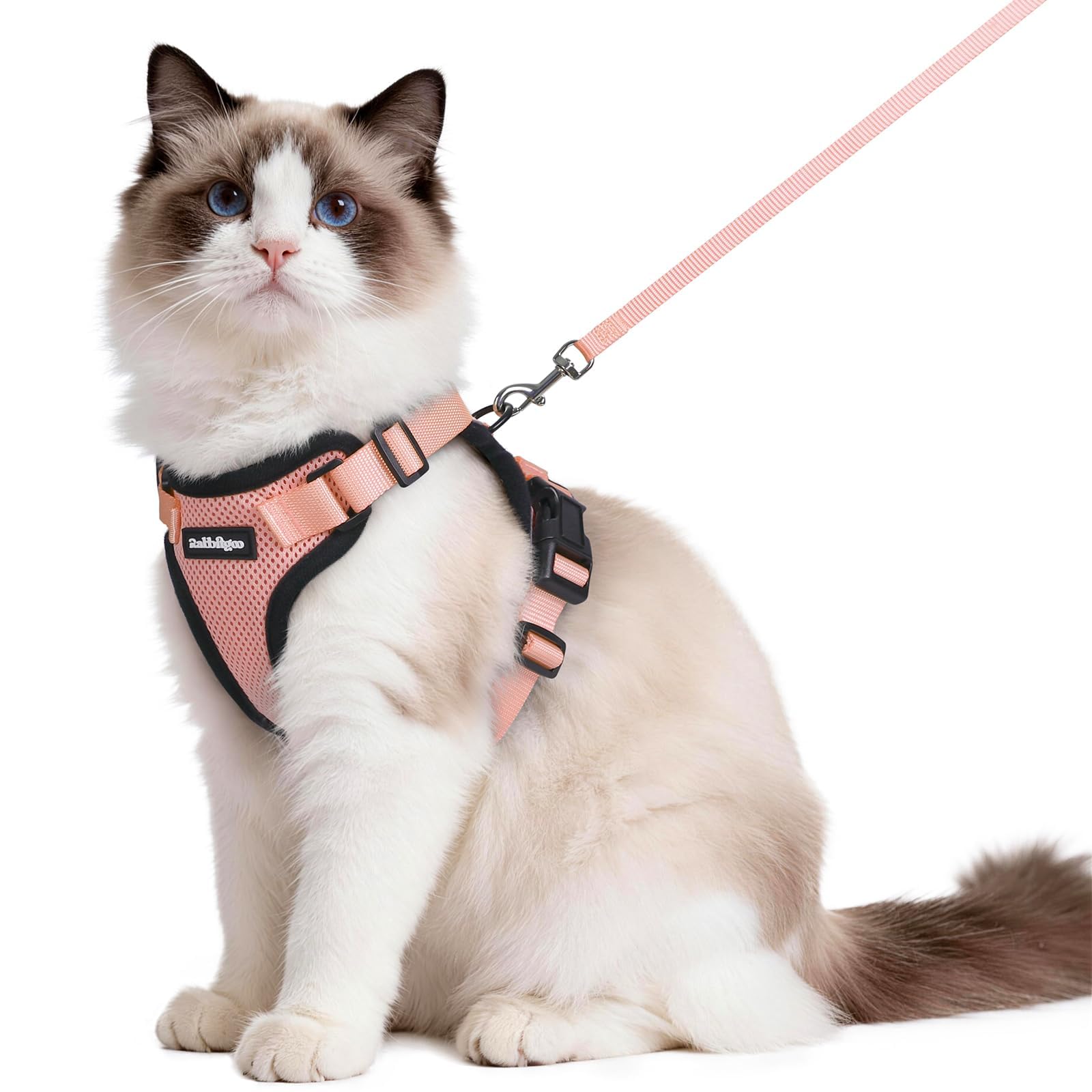 Rabbitgoo Adjustable Cat Harness and Leash Set