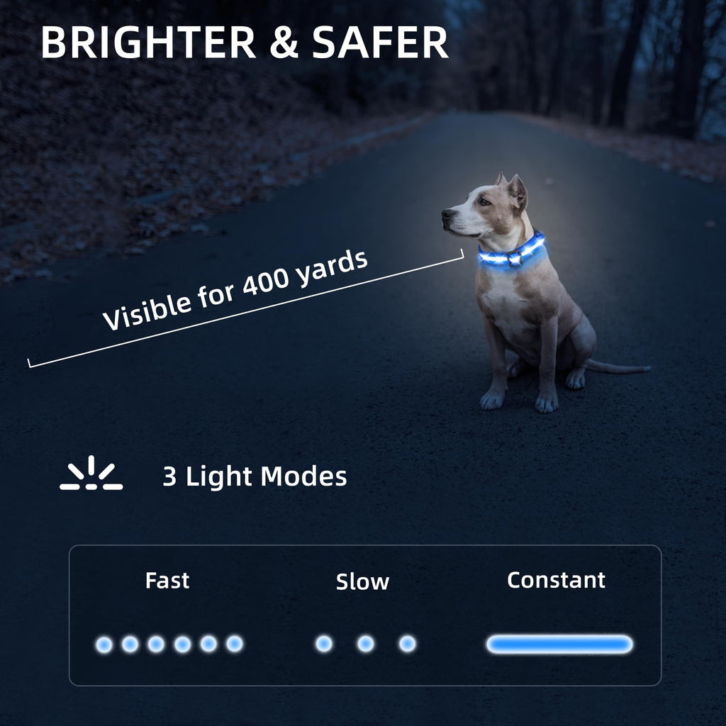 Super Bright USB-C Rechargeable LED Dog Safety Collar