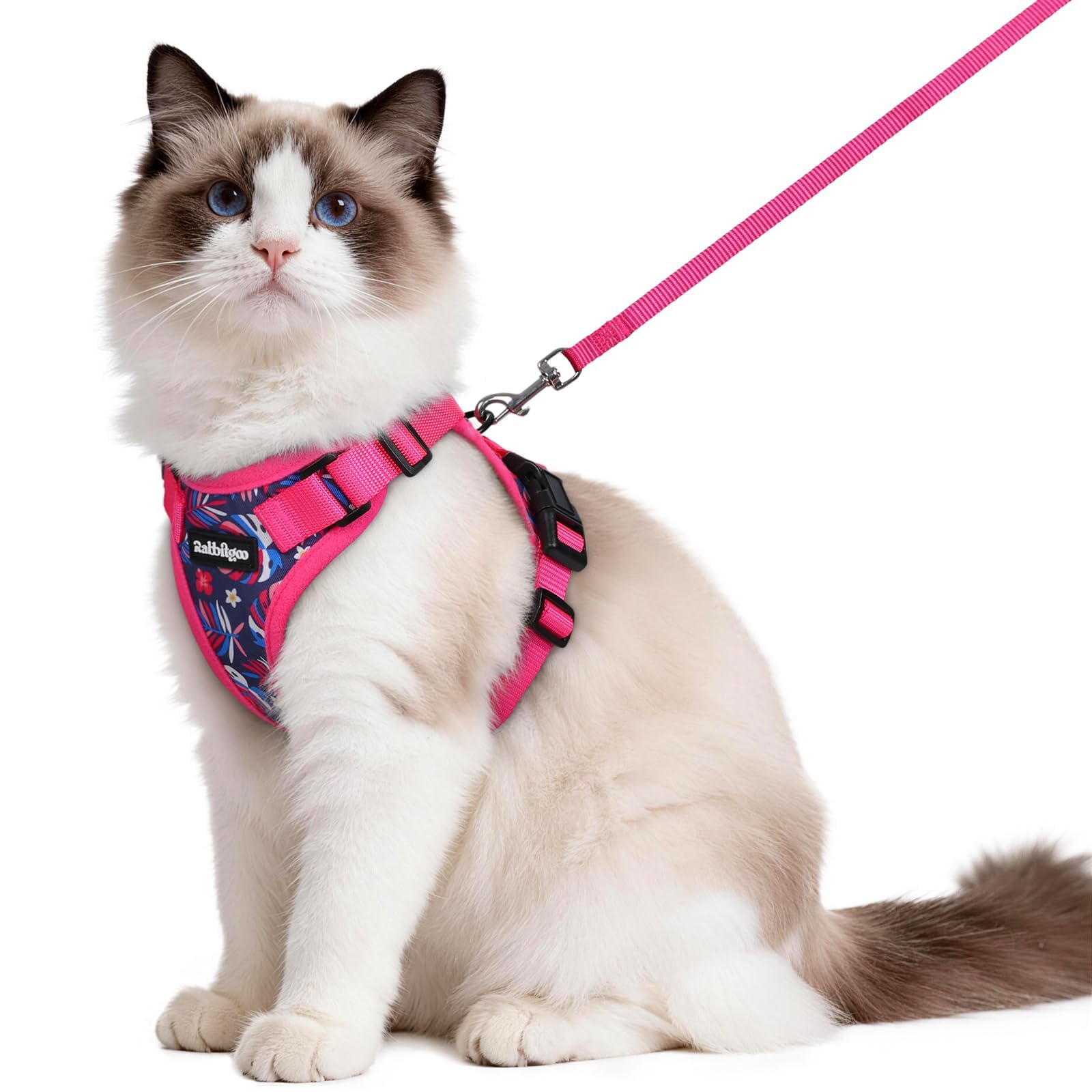Rabbitgoo Adjustable Cat Harness and Leash Set