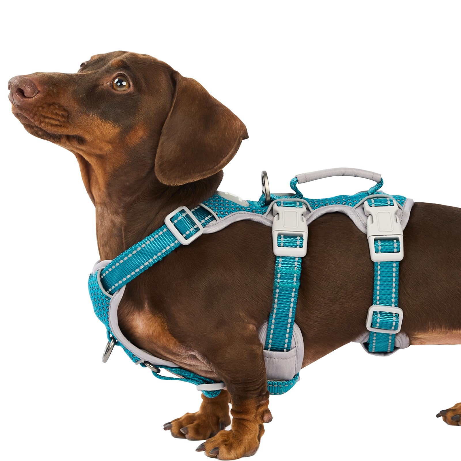 Huntboo Escape-Proof Reflective Dog Harness with Handle