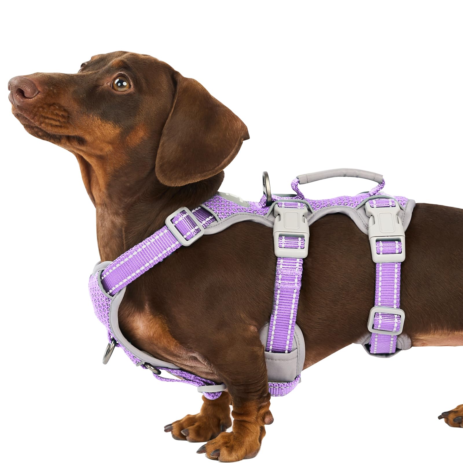Huntboo Escape-Proof Reflective Dog Harness with Handle