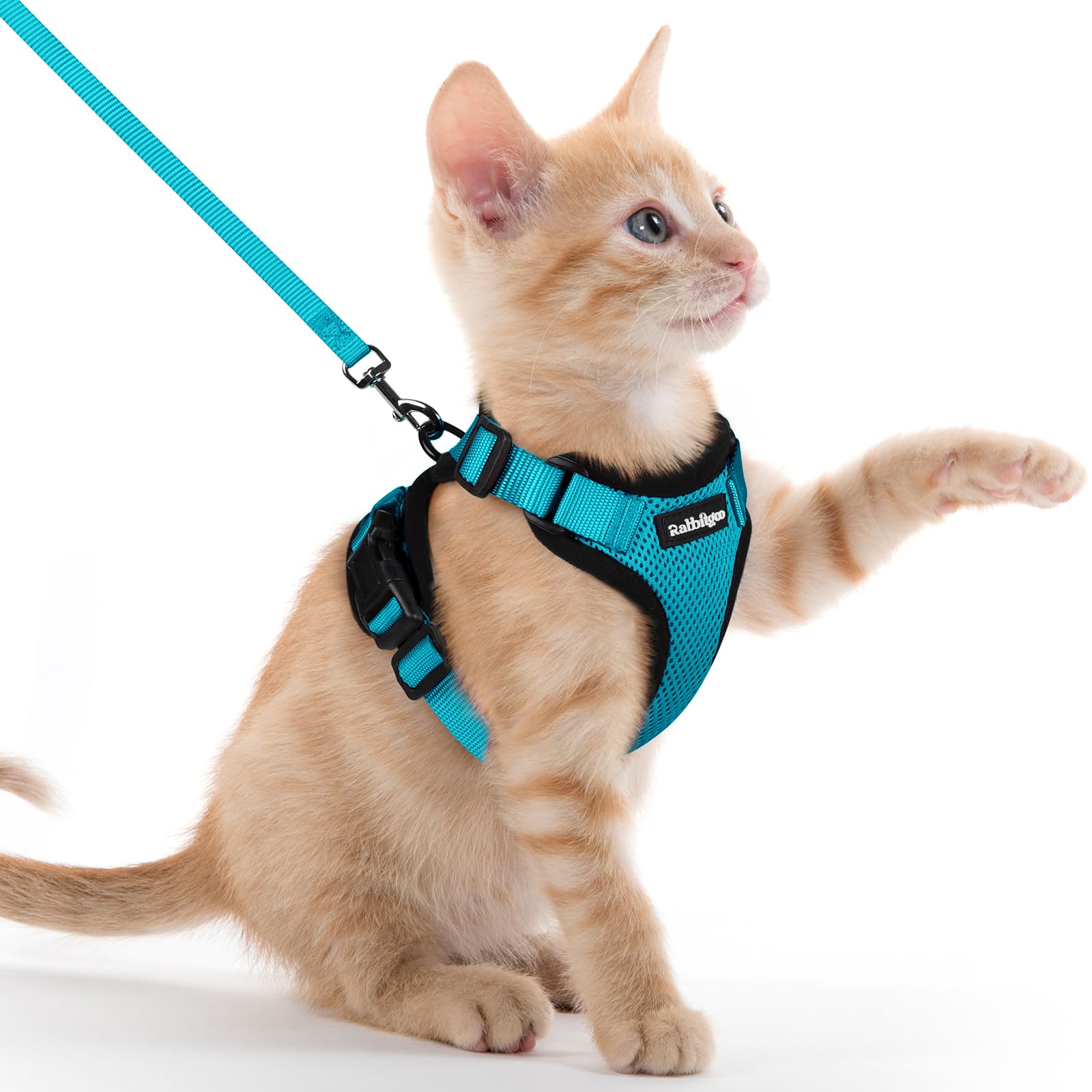 Rabbitgoo Adjustable Cat Harness and Leash Set