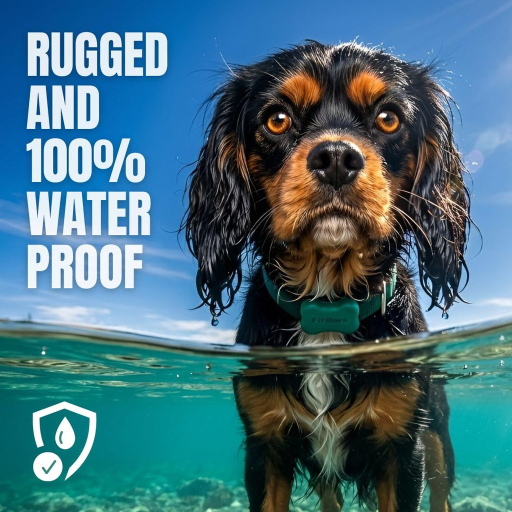 FitBark 2 Waterproof Dog Activity and Fitness Tracker
