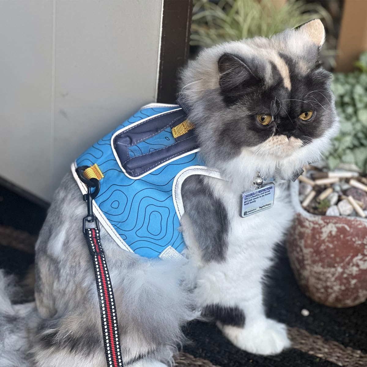 Travel Cat Pathfinder Escape-Proof GPS Tracker Harness