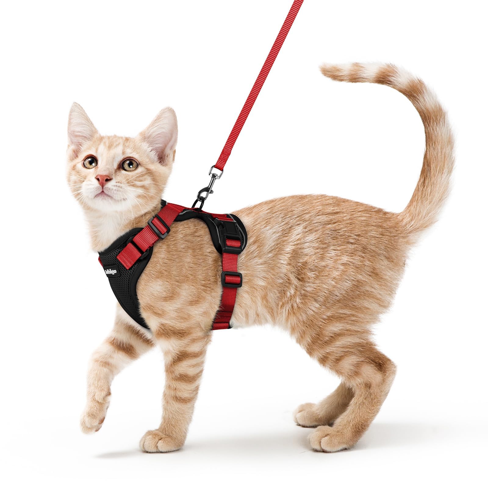 Rabbitgoo Adjustable Cat Harness and Leash Set