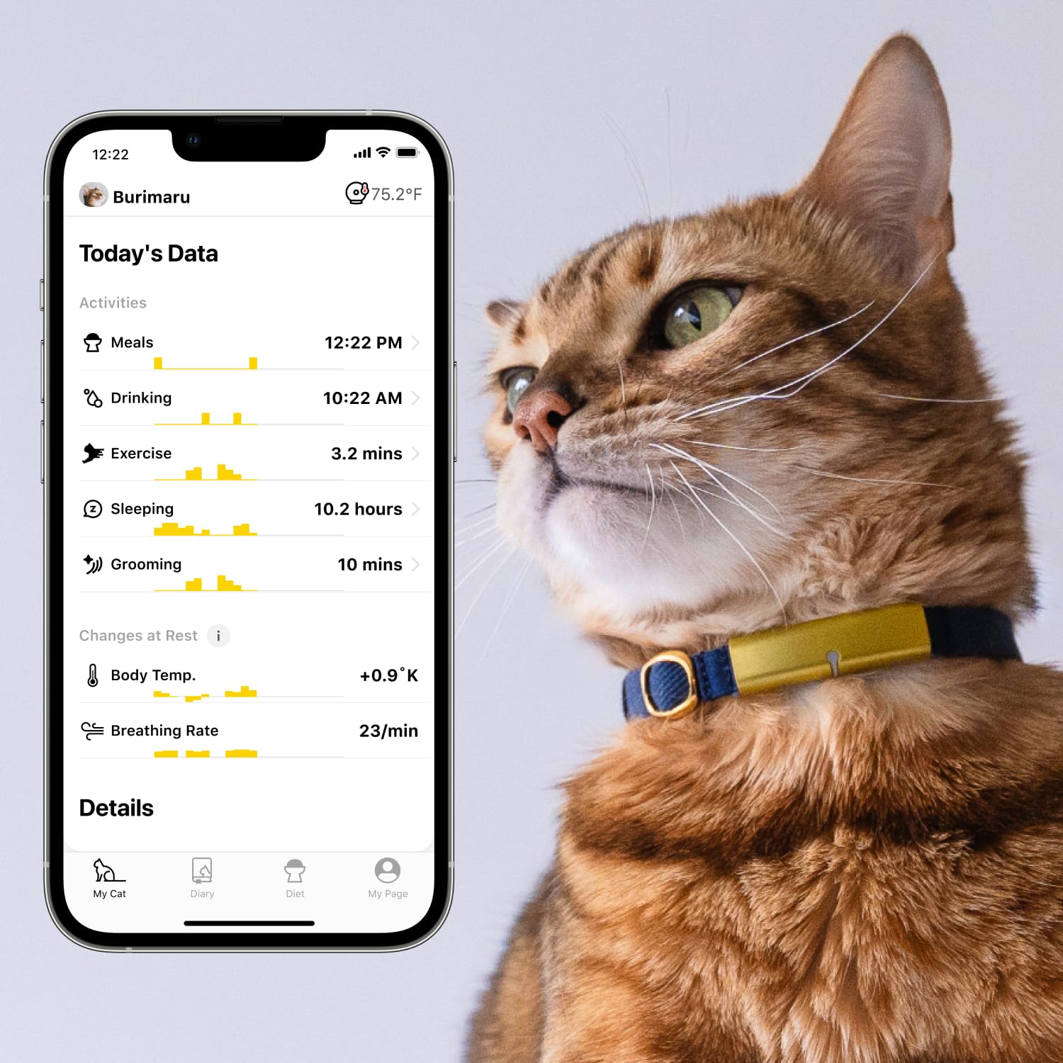 Catlog Replacement Collar Belt for Pet Activity Tracker
