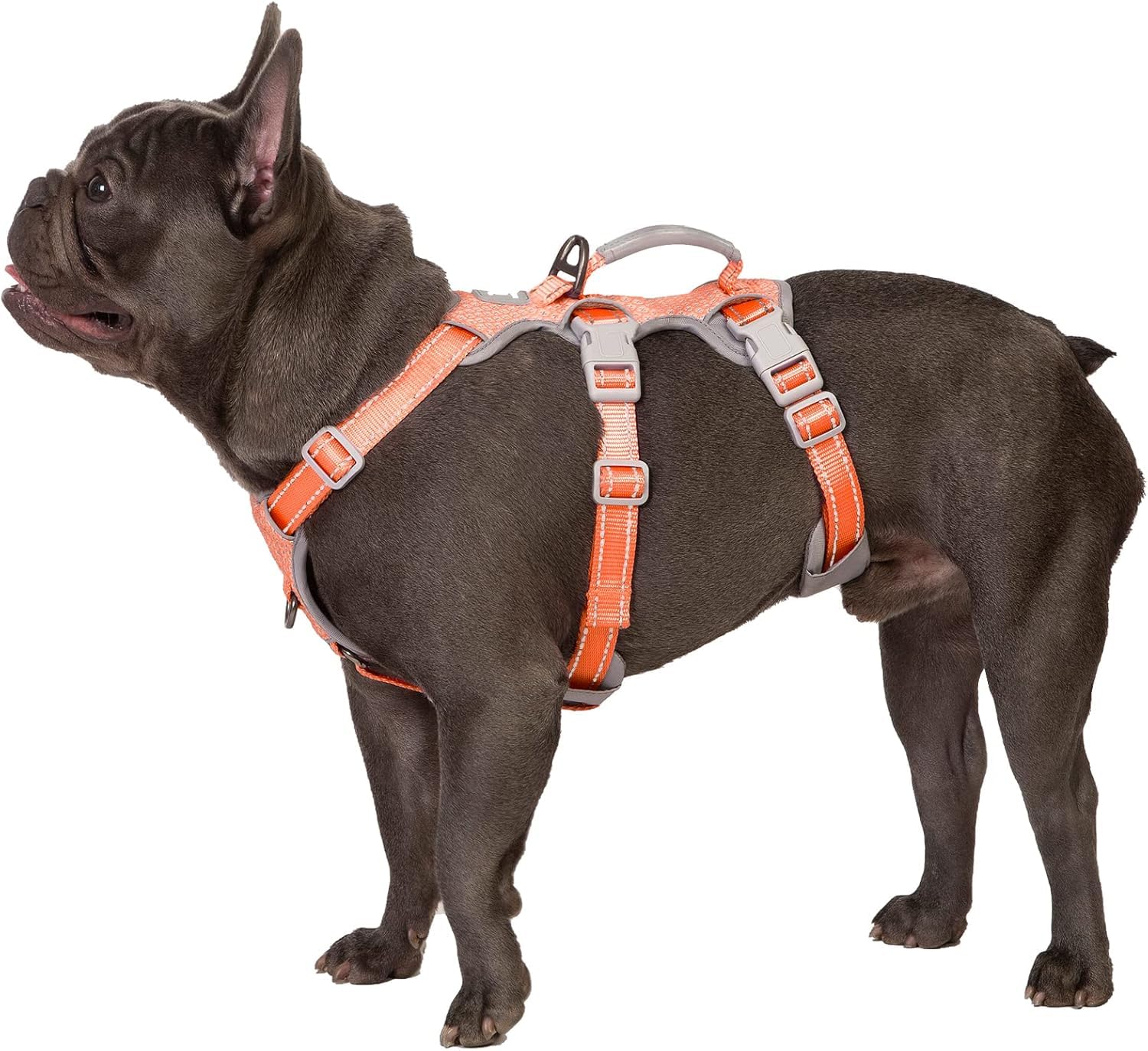 Huntboo Escape-Proof Reflective Dog Harness with Handle