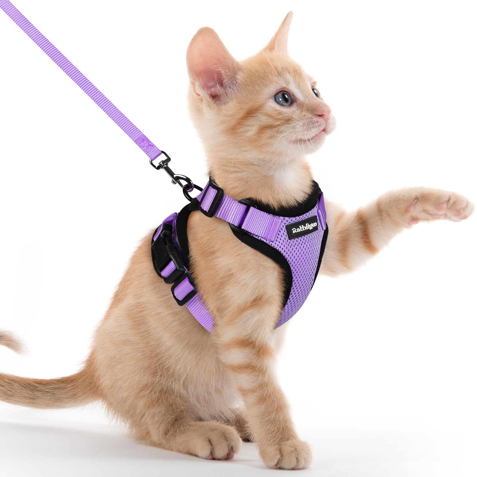 Rabbitgoo Adjustable Cat Harness and Leash Set