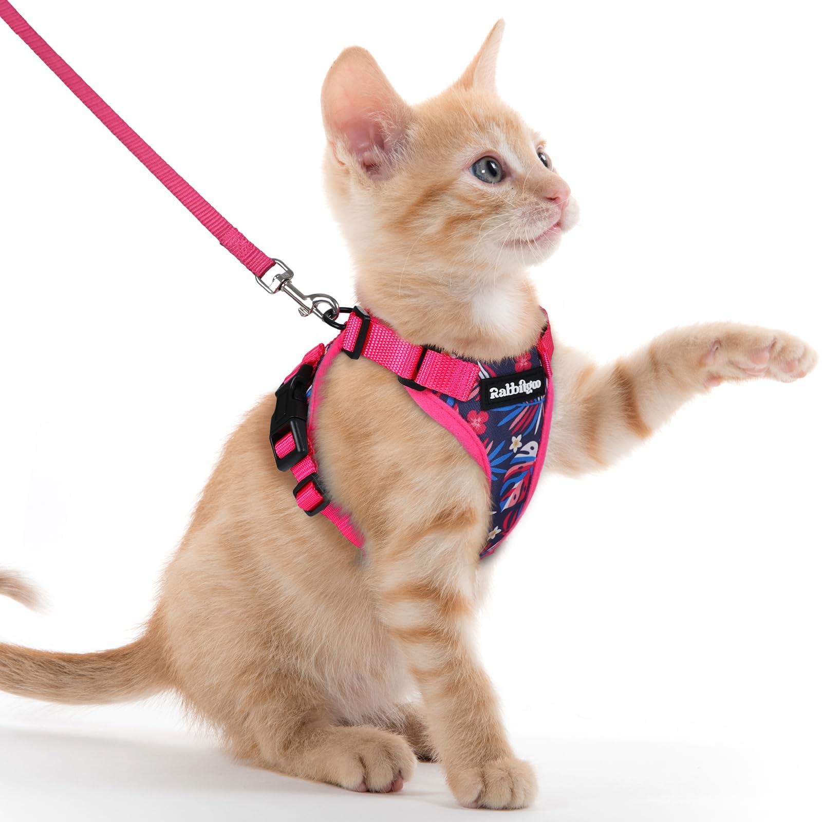 Rabbitgoo Adjustable Cat Harness and Leash Set