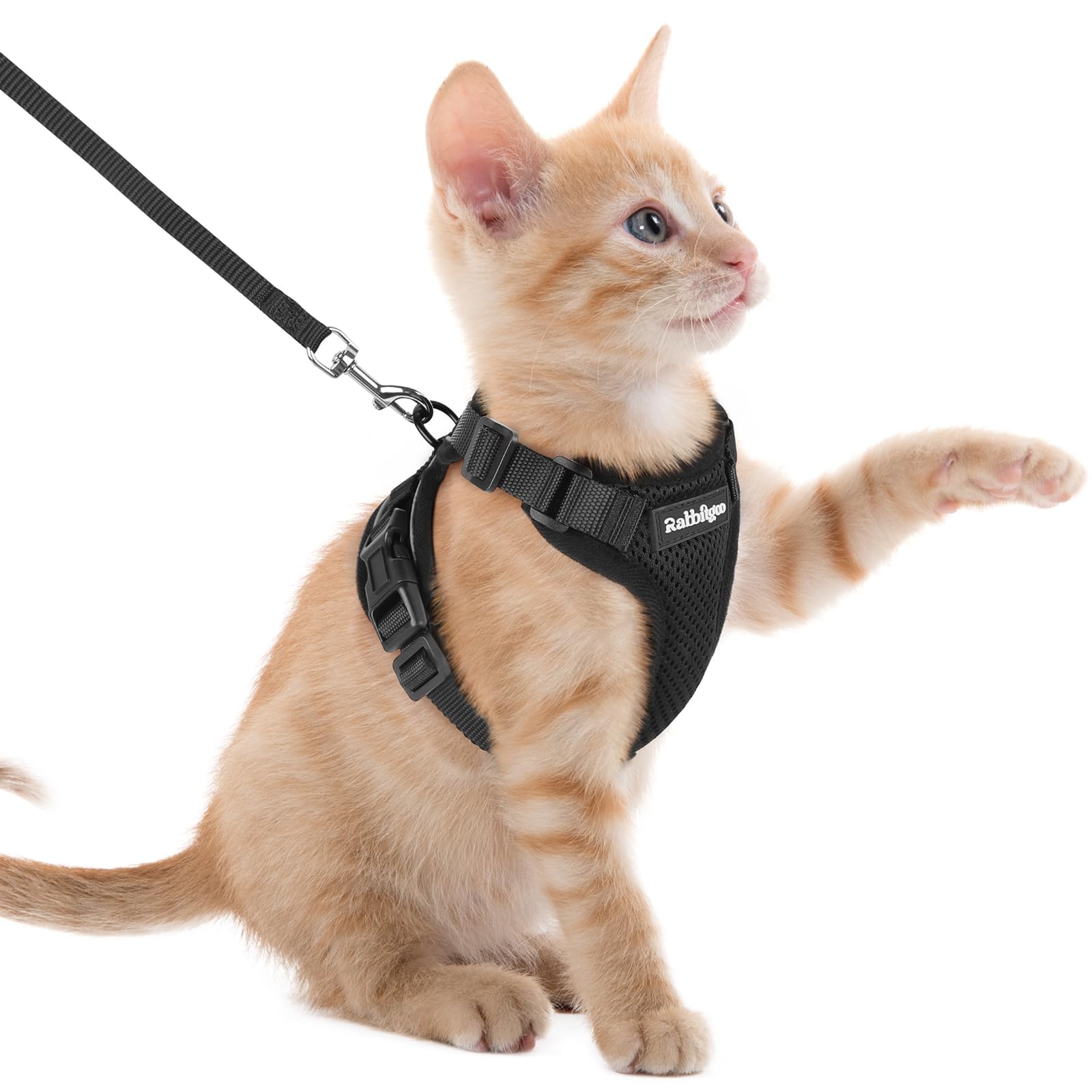 Rabbitgoo Adjustable Cat Harness and Leash Set