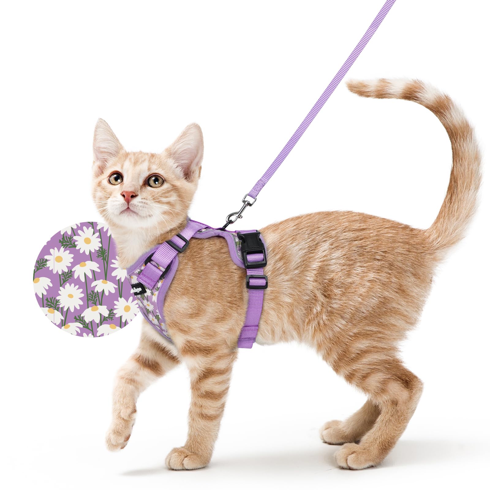 Rabbitgoo Adjustable Cat Harness and Leash Set